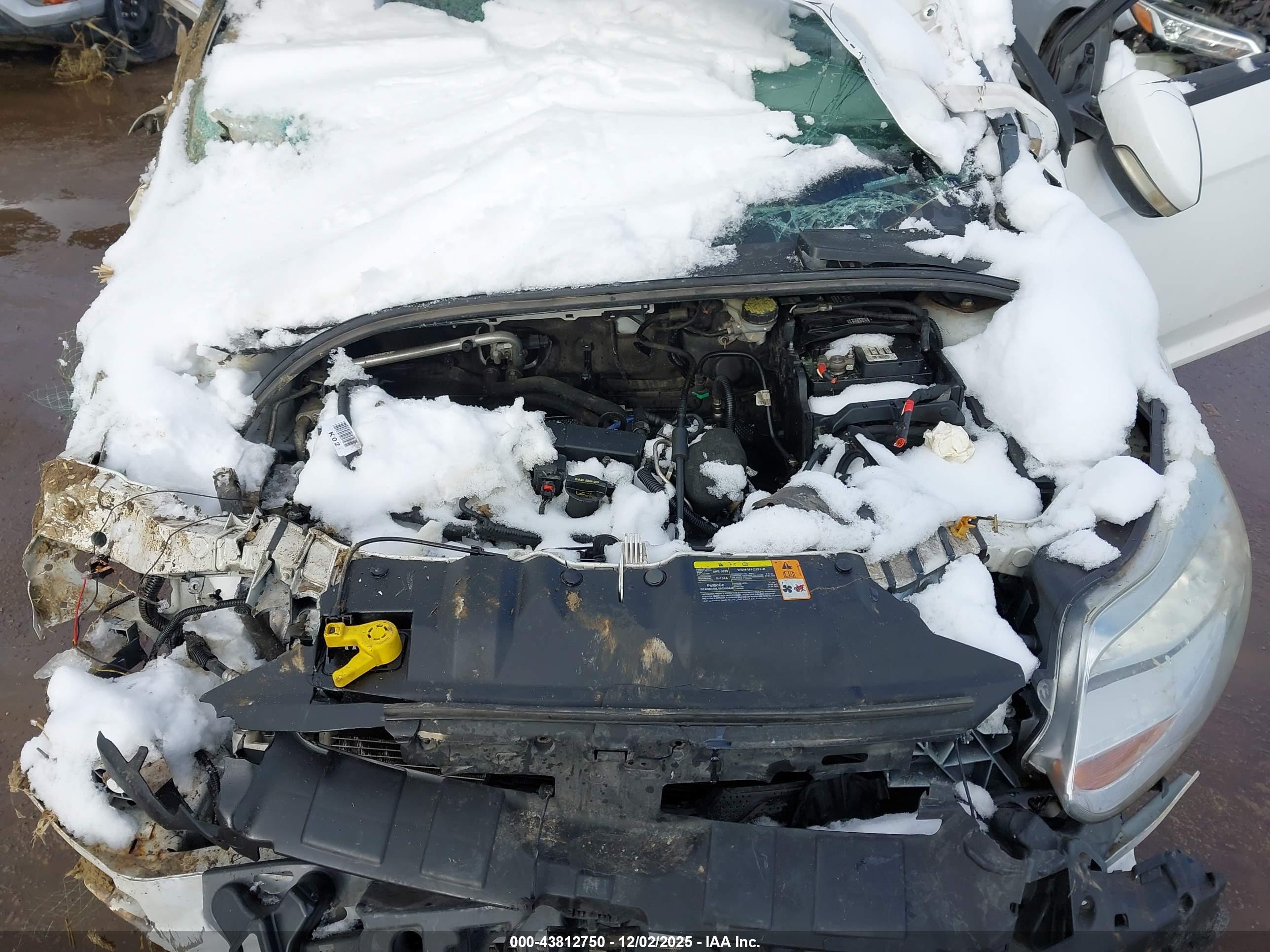 FORD FOCUS image 10