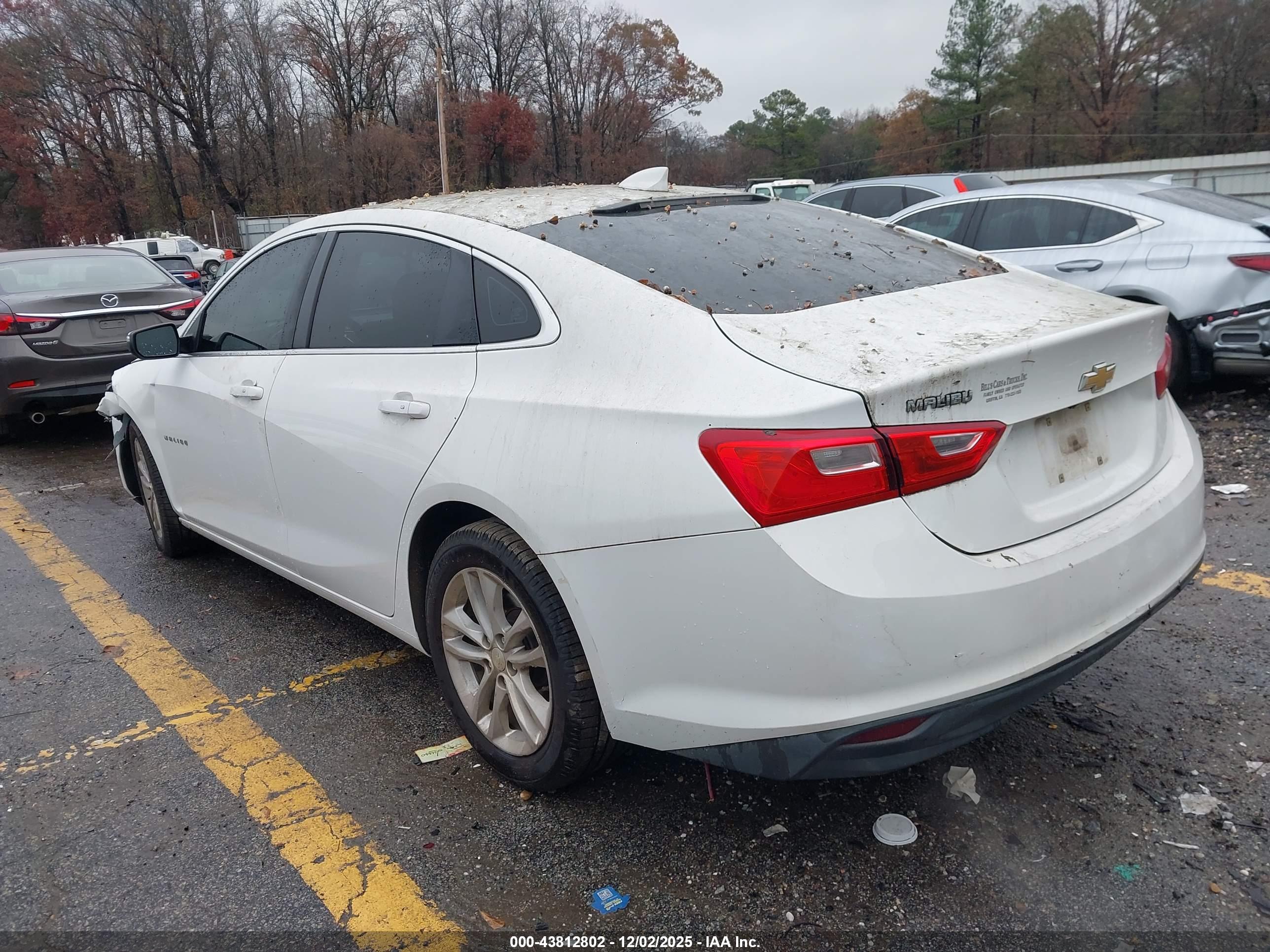 CHEVROLET MALIBU image 3