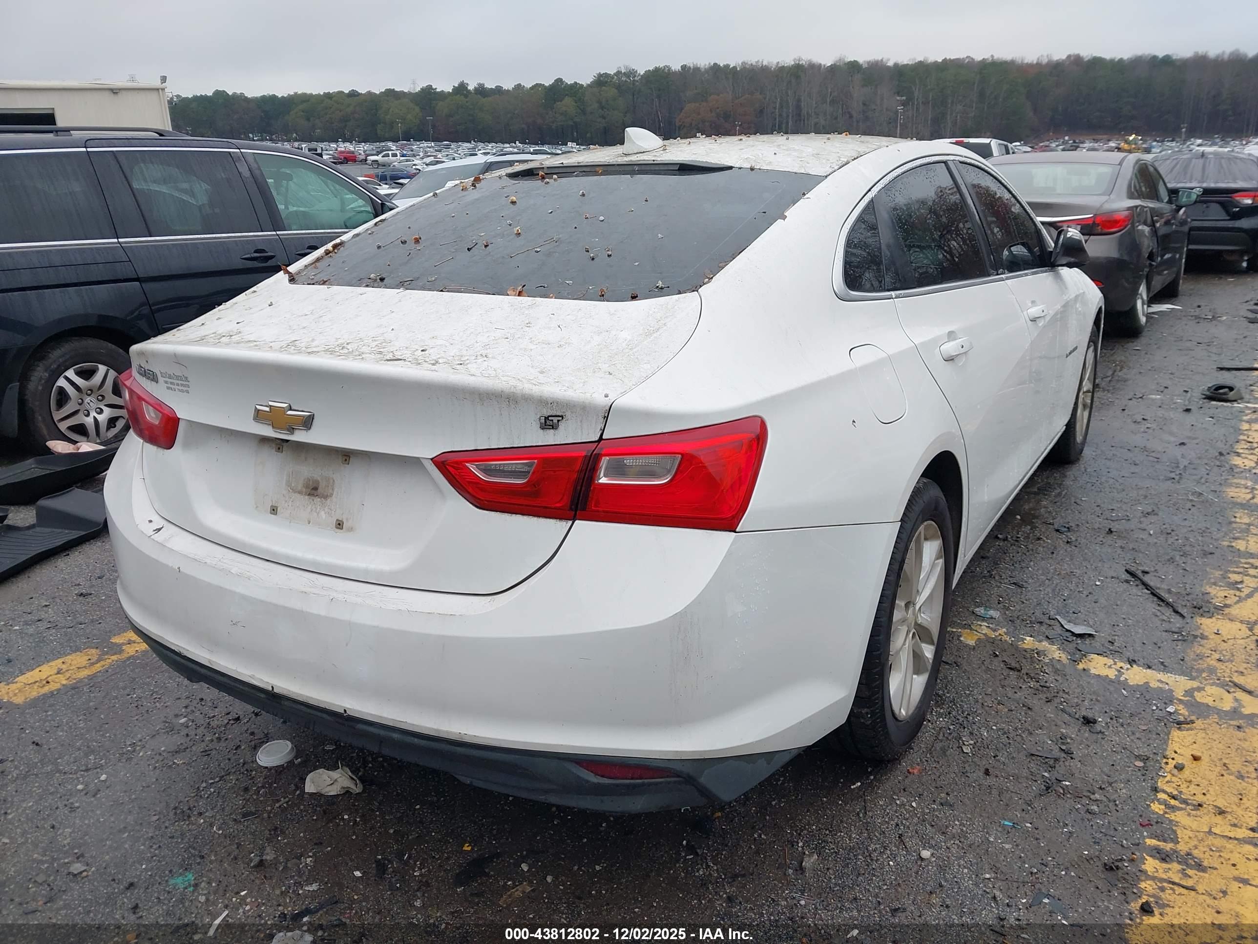 CHEVROLET MALIBU image 4
