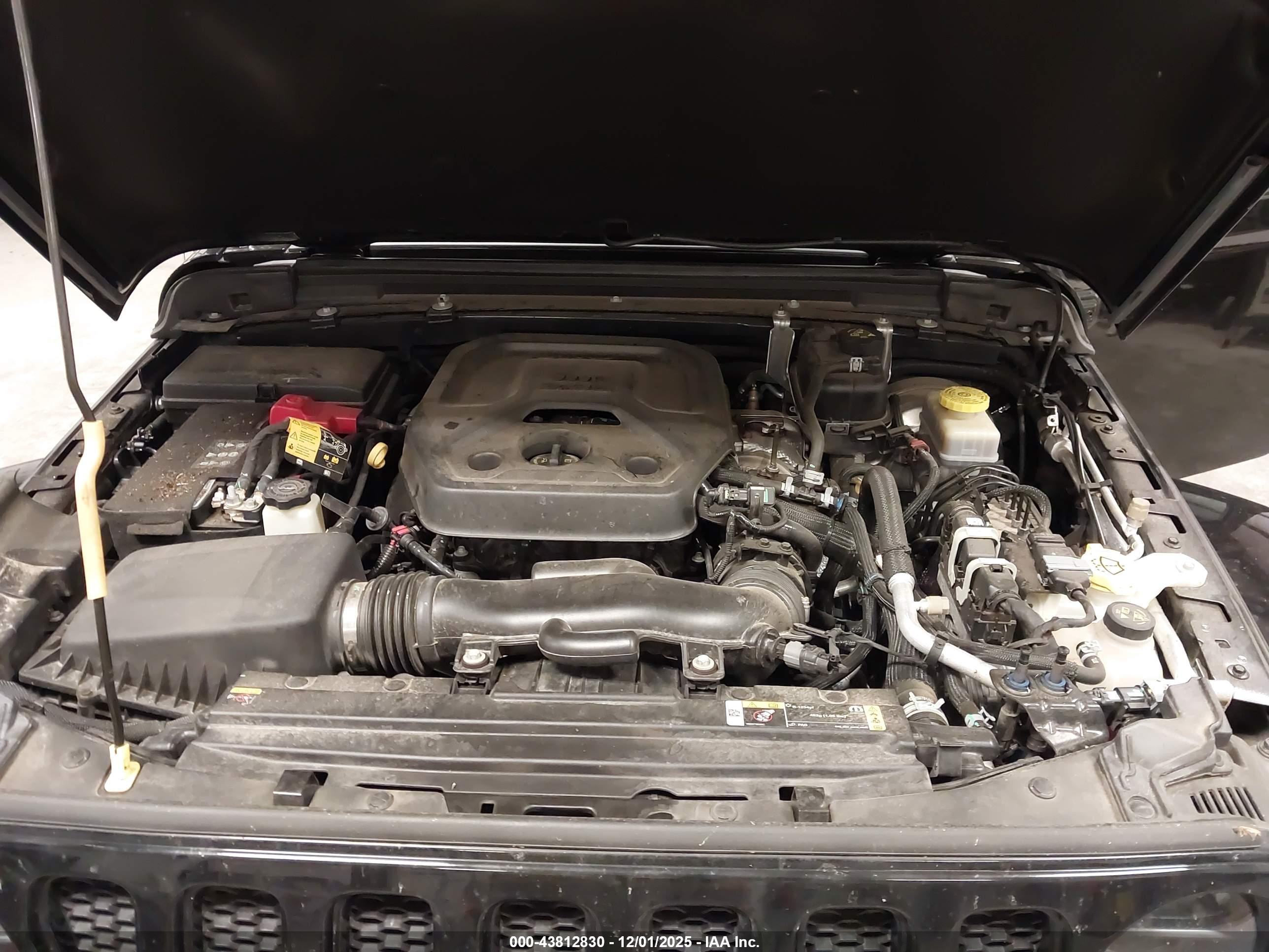 JEEP WRANGLER image 10