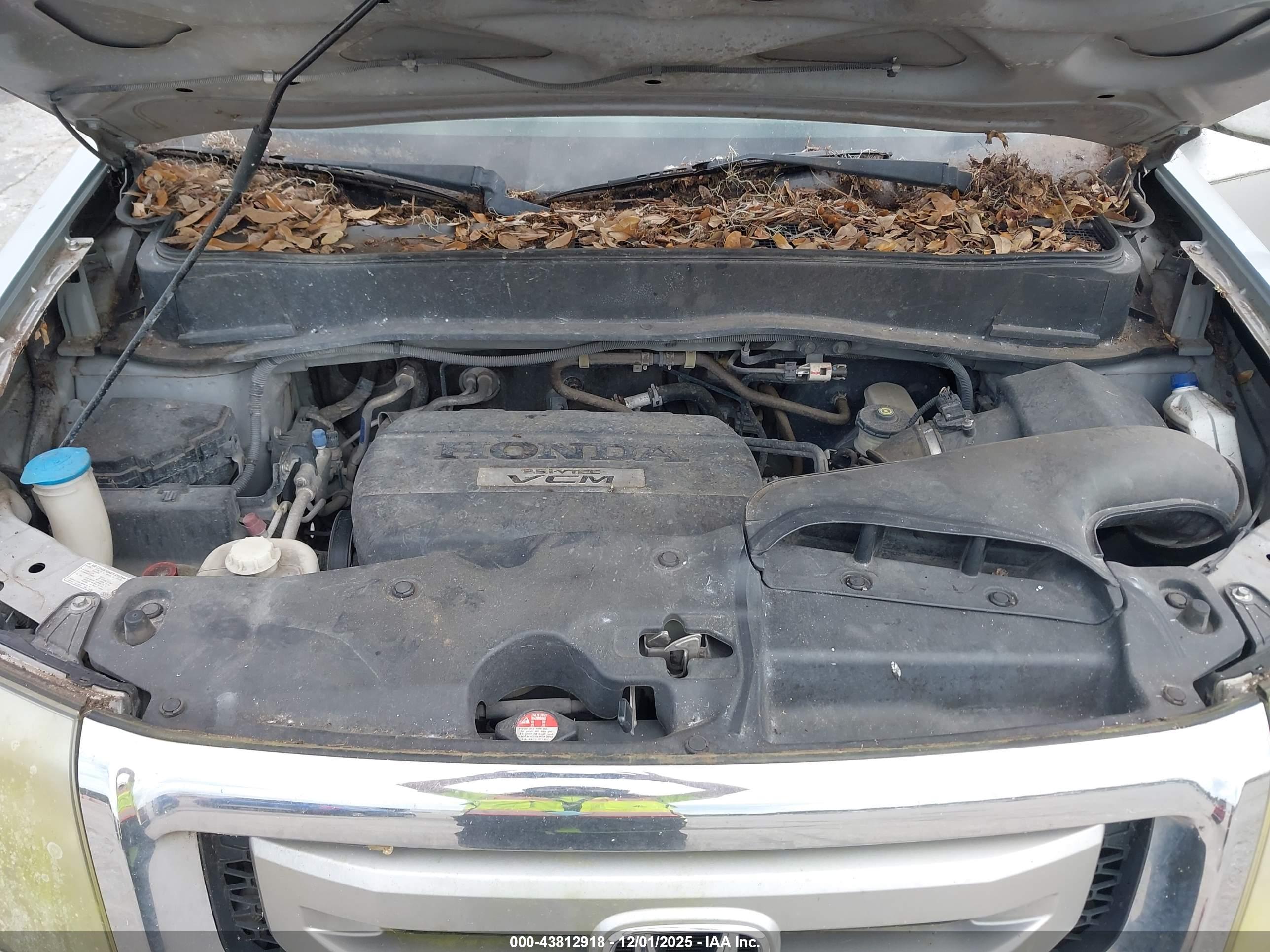 HONDA PILOT image 10