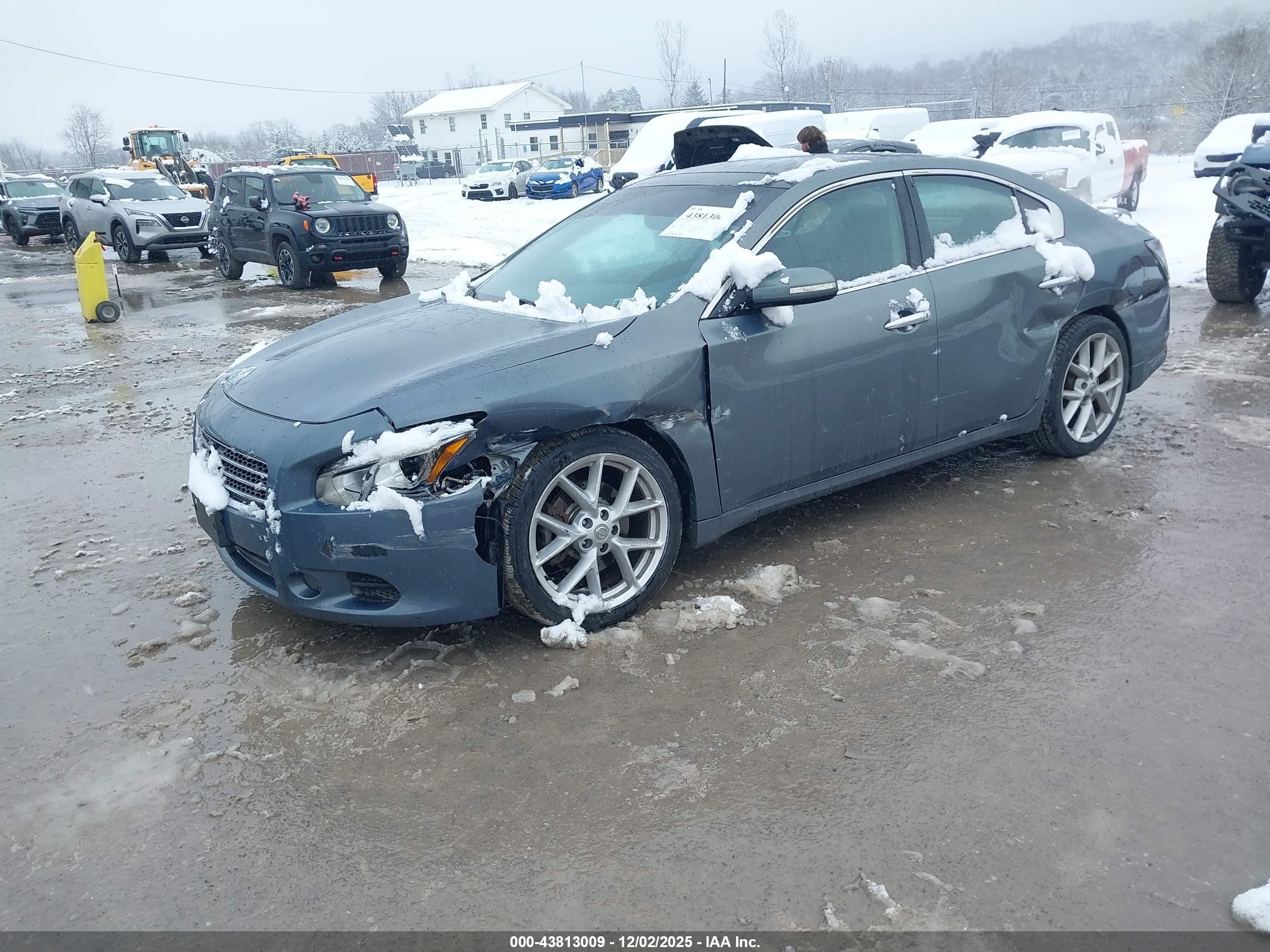 NISSAN MAXIMA image 2