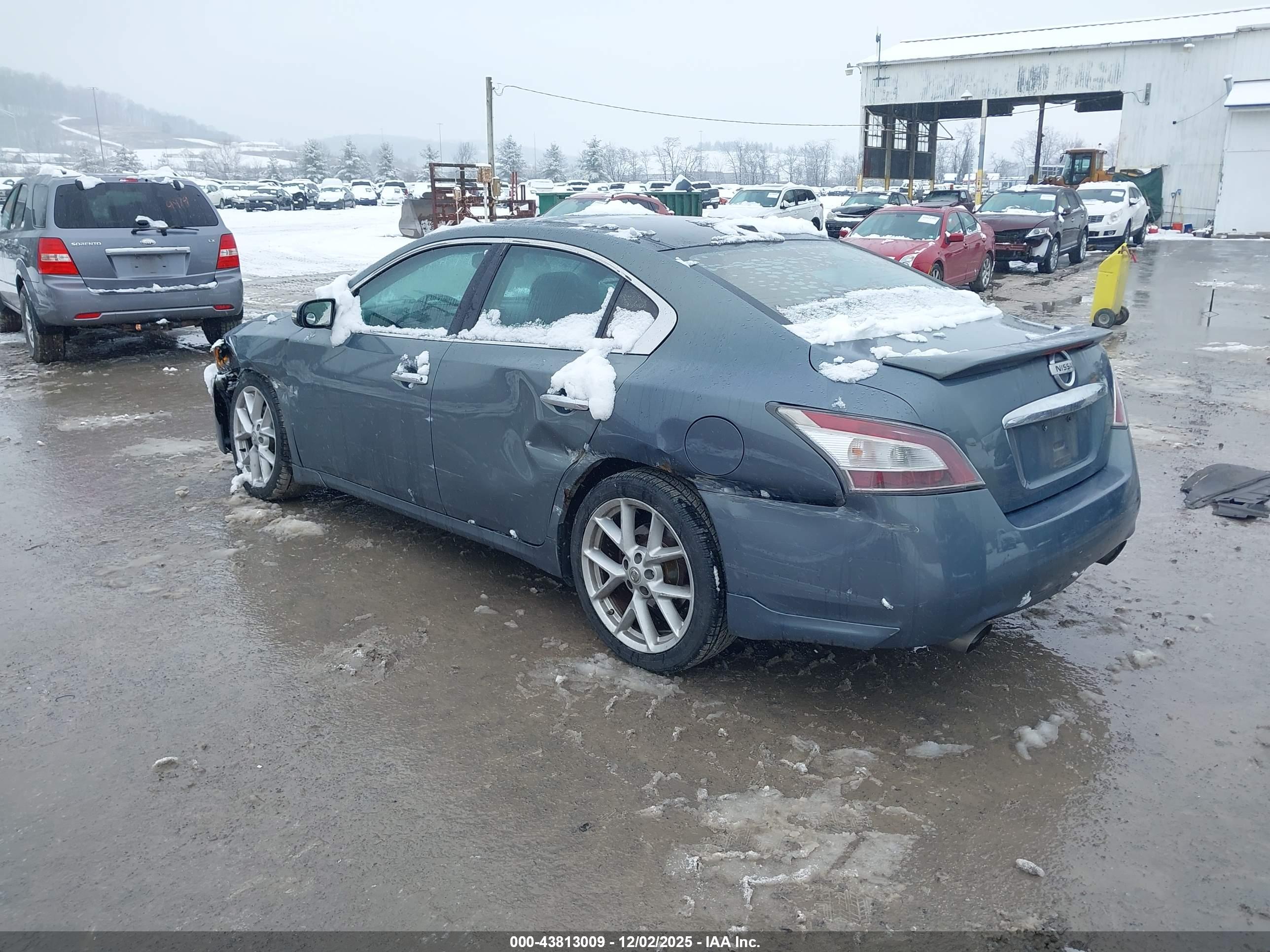 NISSAN MAXIMA image 3