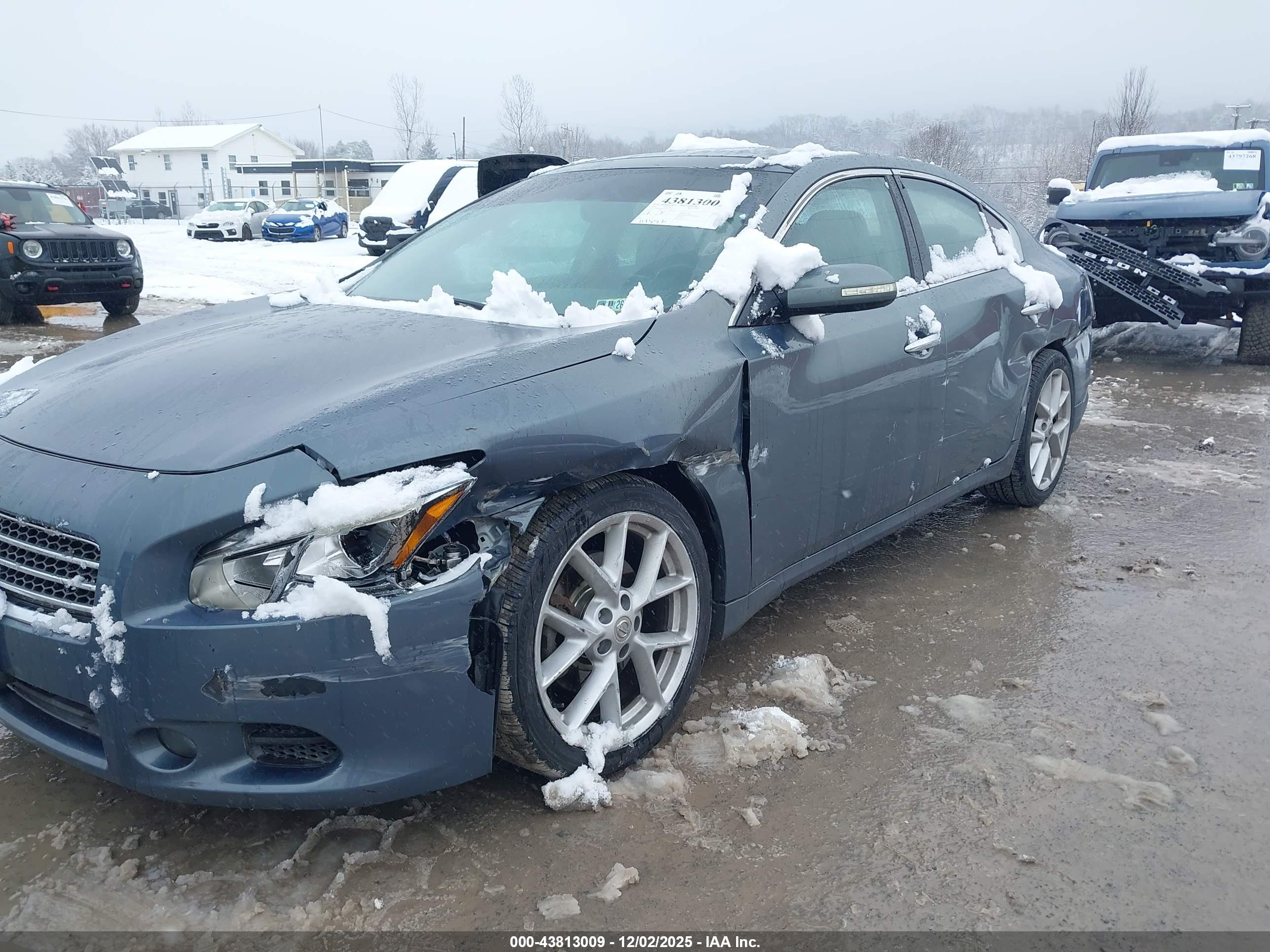 NISSAN MAXIMA image 6