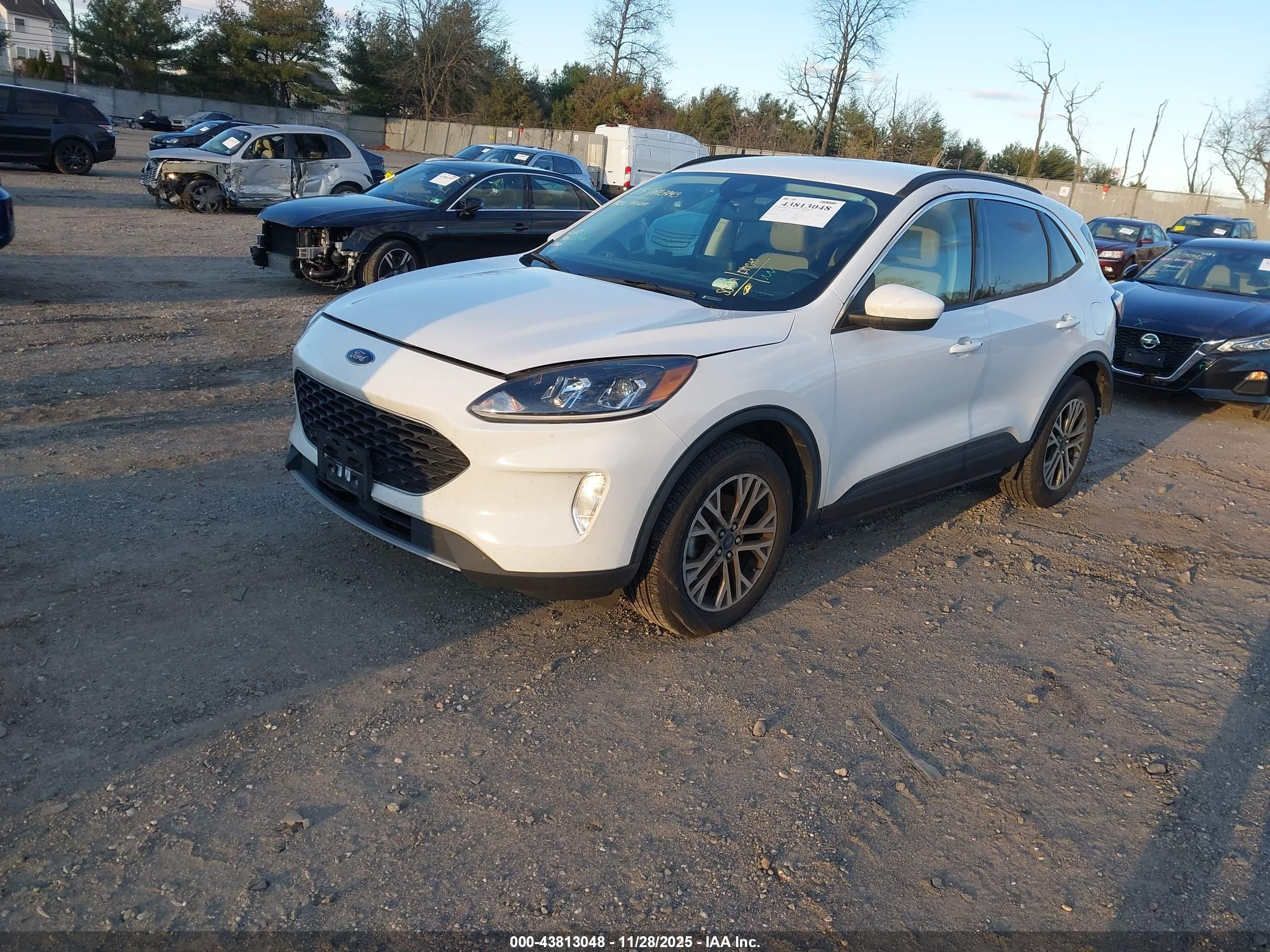 FORD ESCAPE image 2