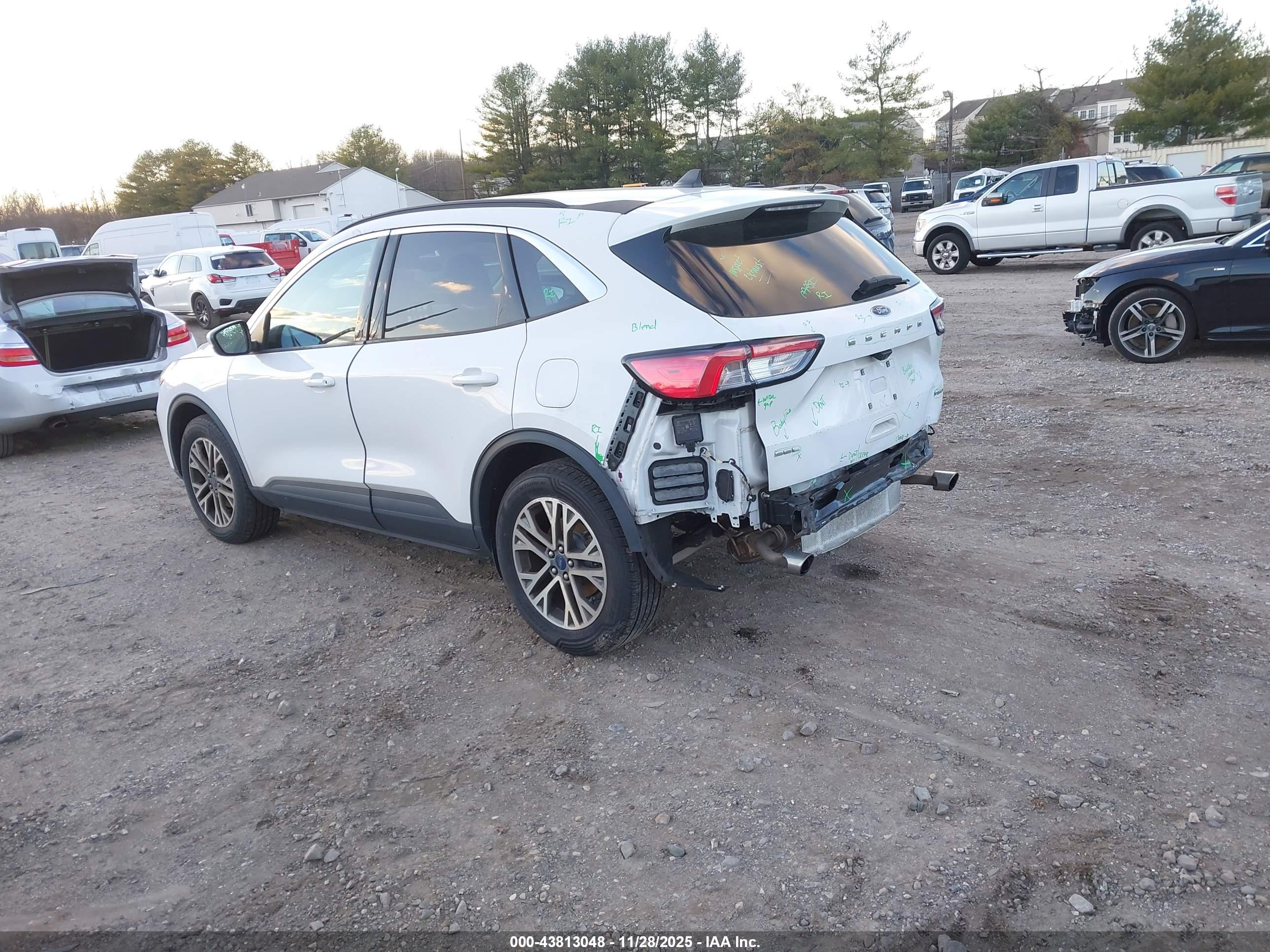 FORD ESCAPE image 3