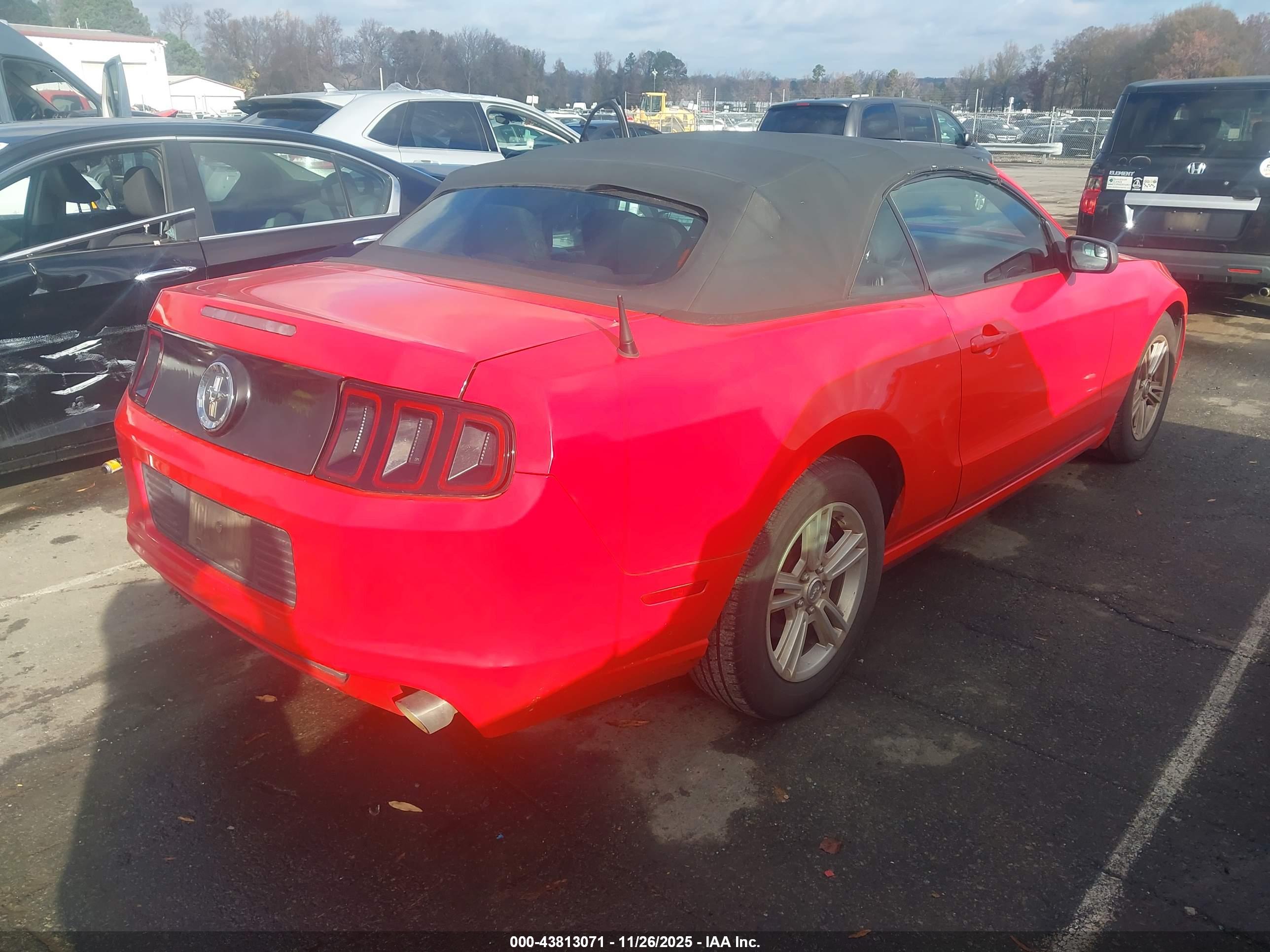 FORD MUSTANG image 4