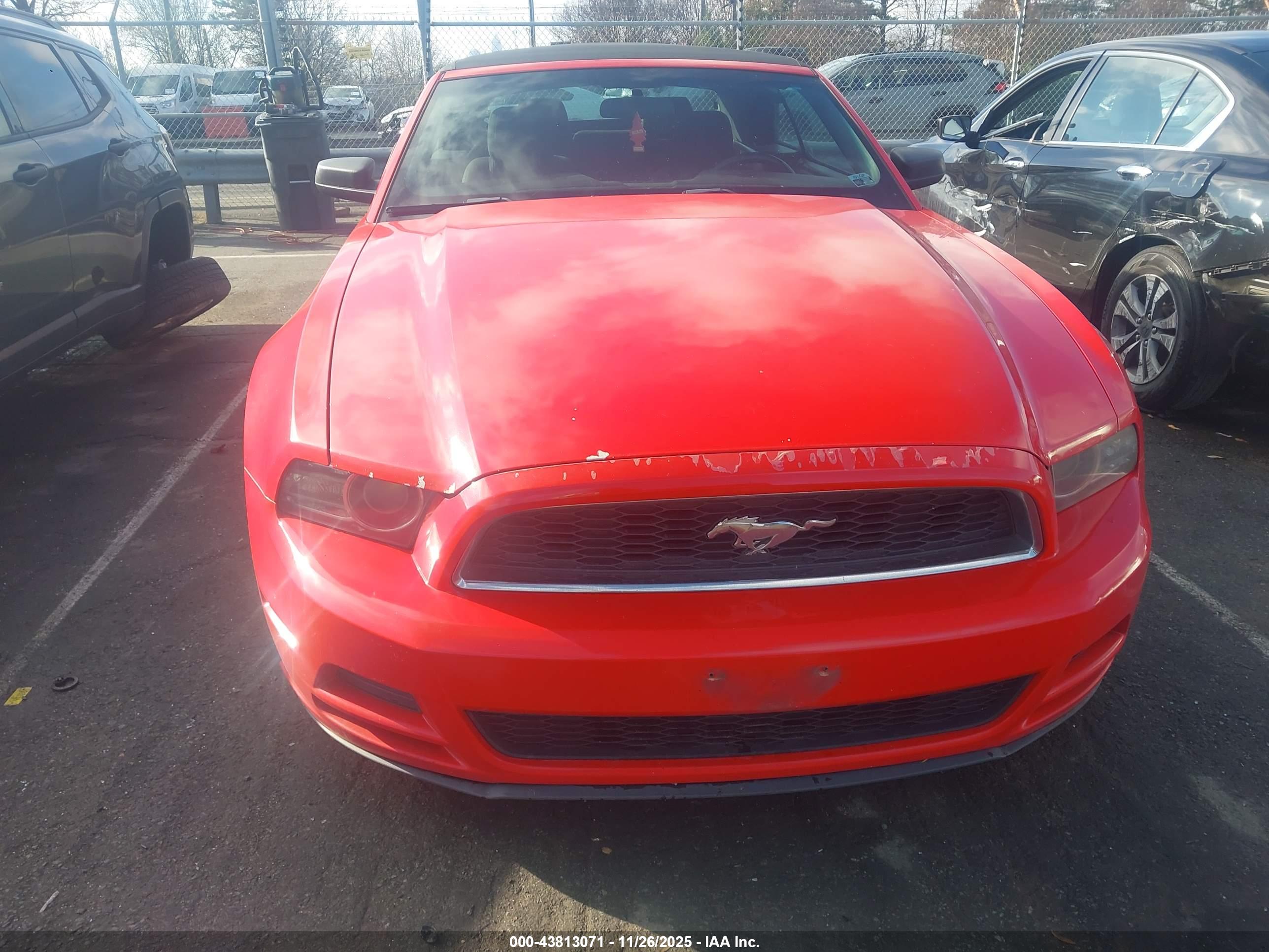 FORD MUSTANG image 6