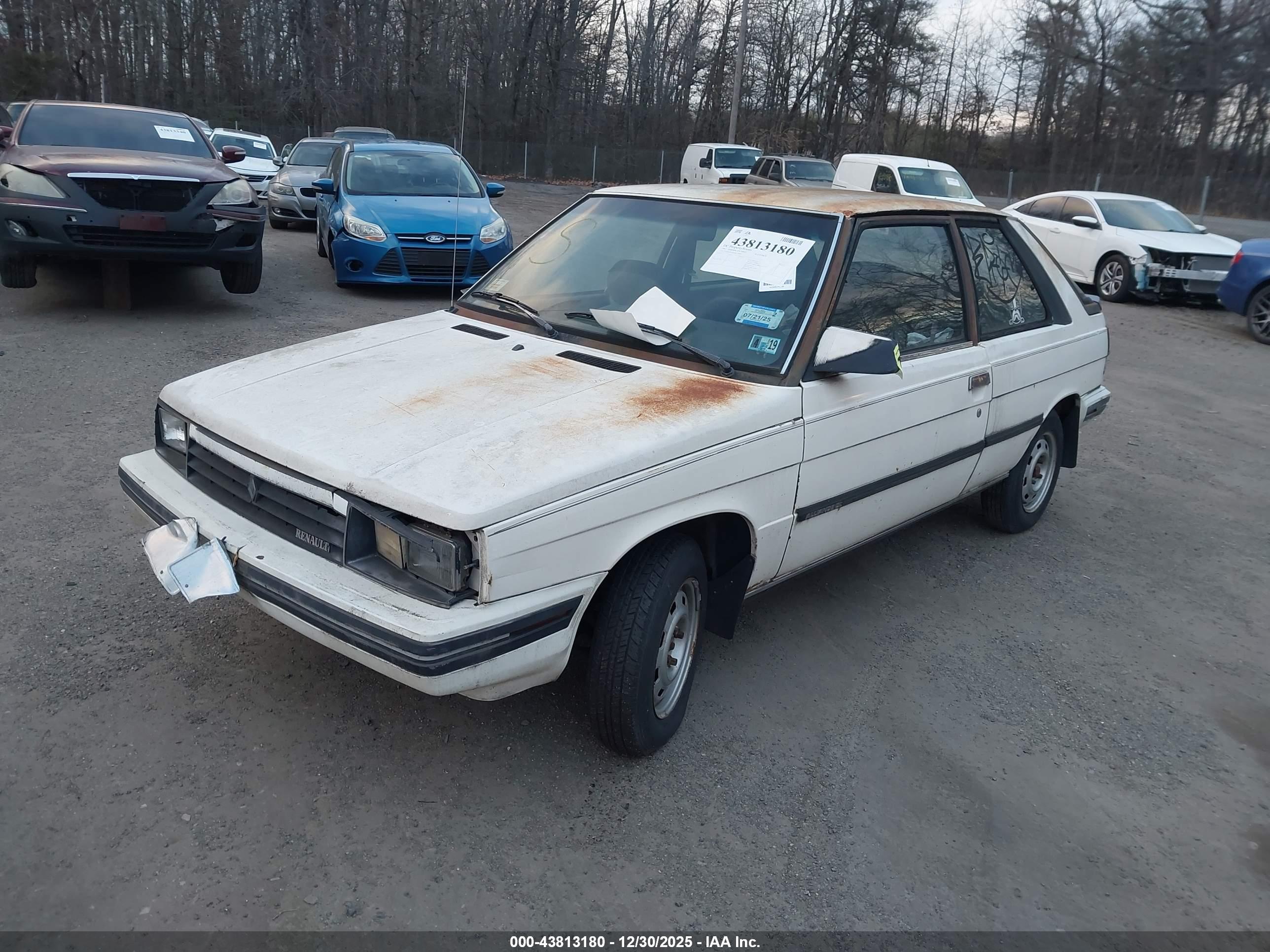 AMERICAN MOTORS image 2