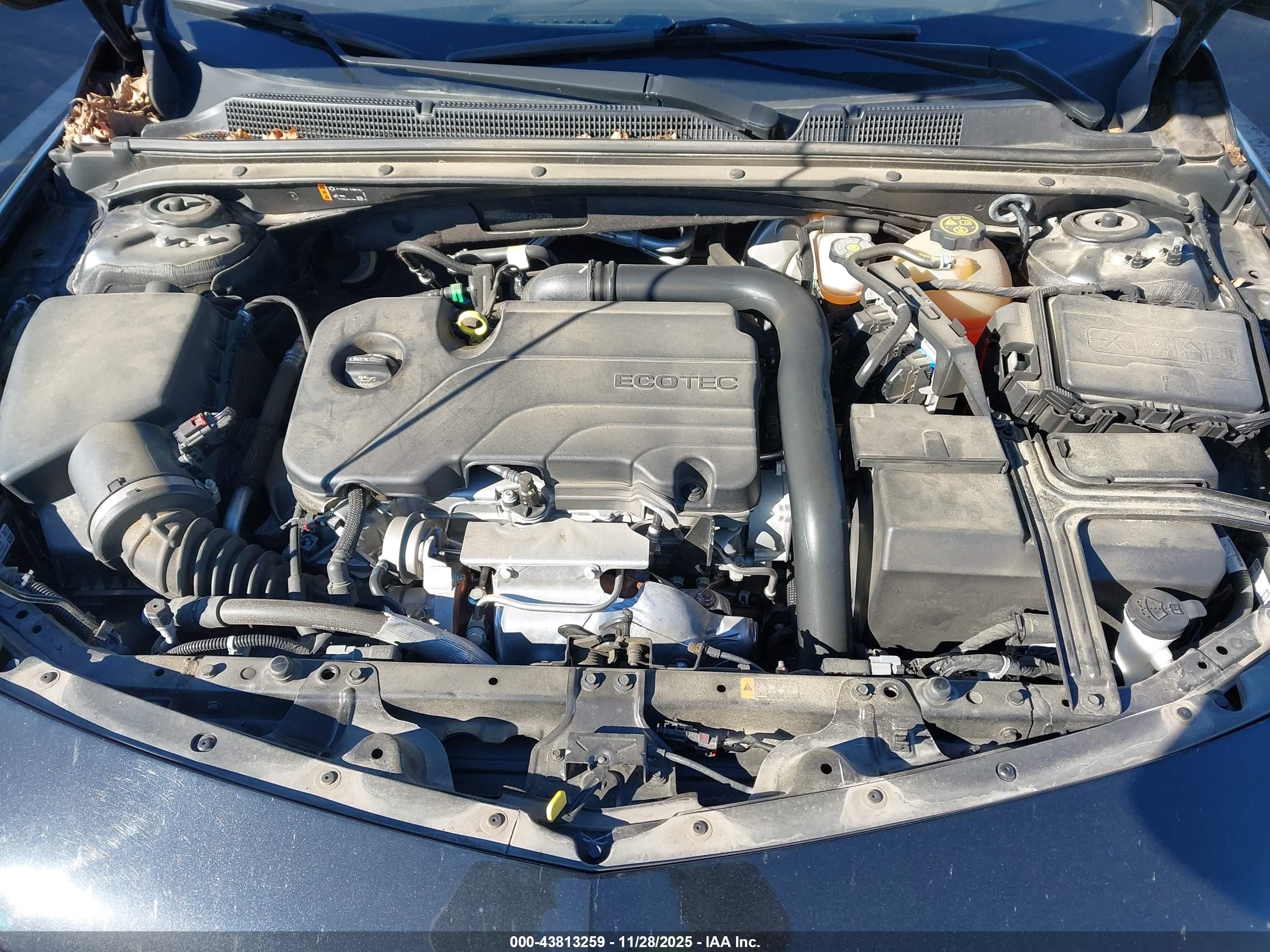 CHEVROLET MALIBU image 10