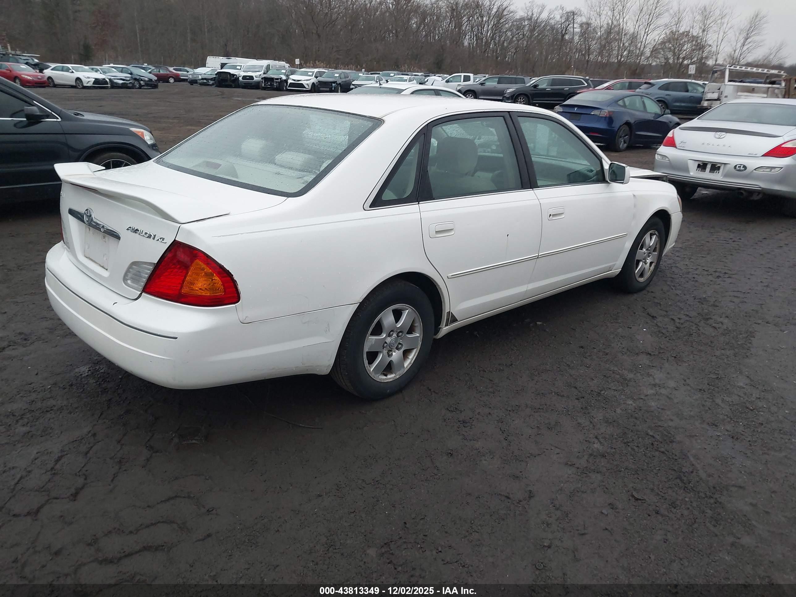 TOYOTA AVALON image 4