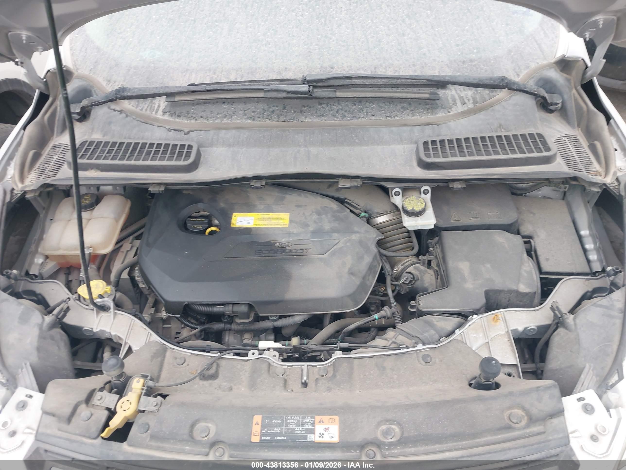 FORD ESCAPE image 10