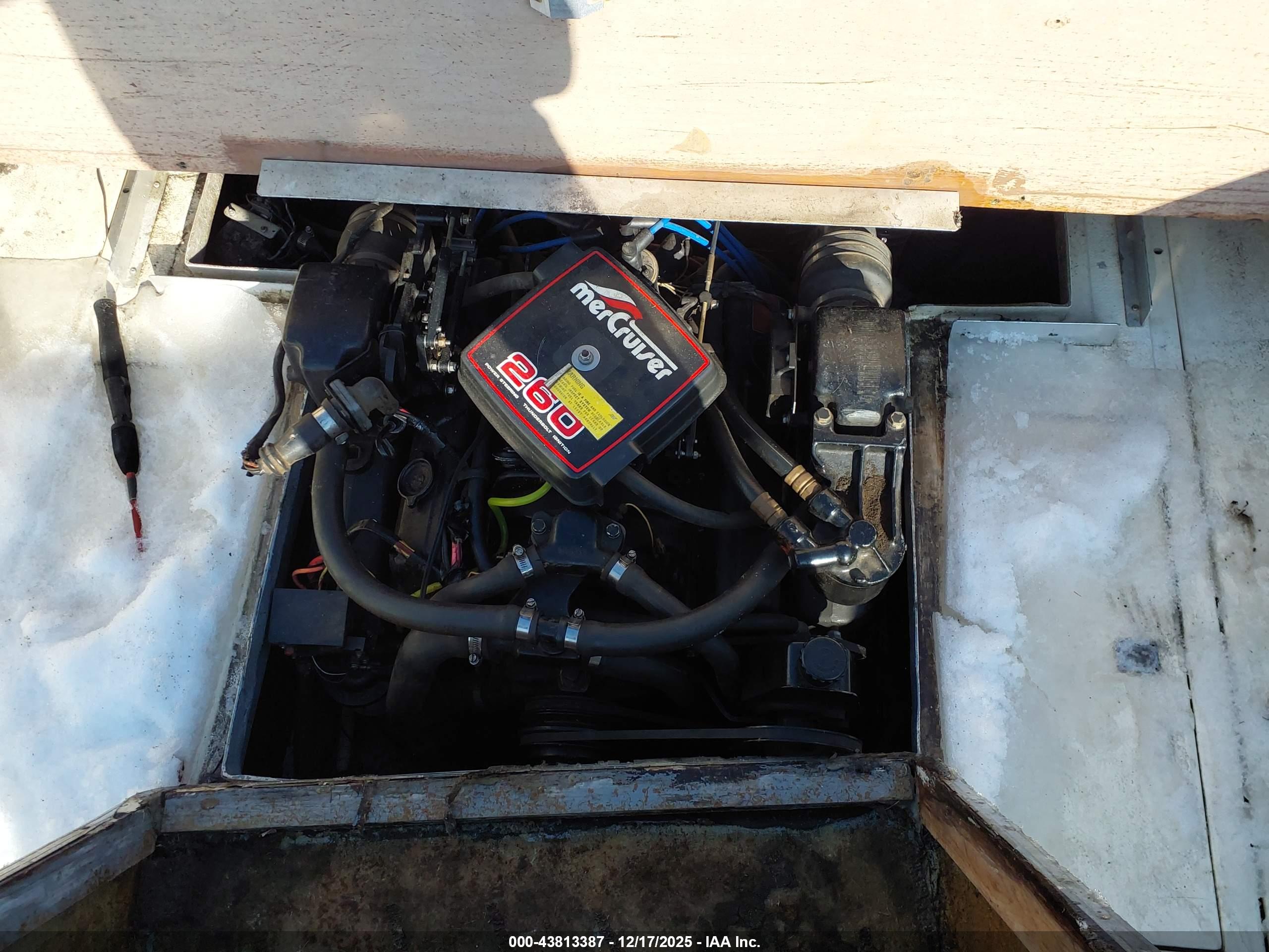 SEA RAY image 10