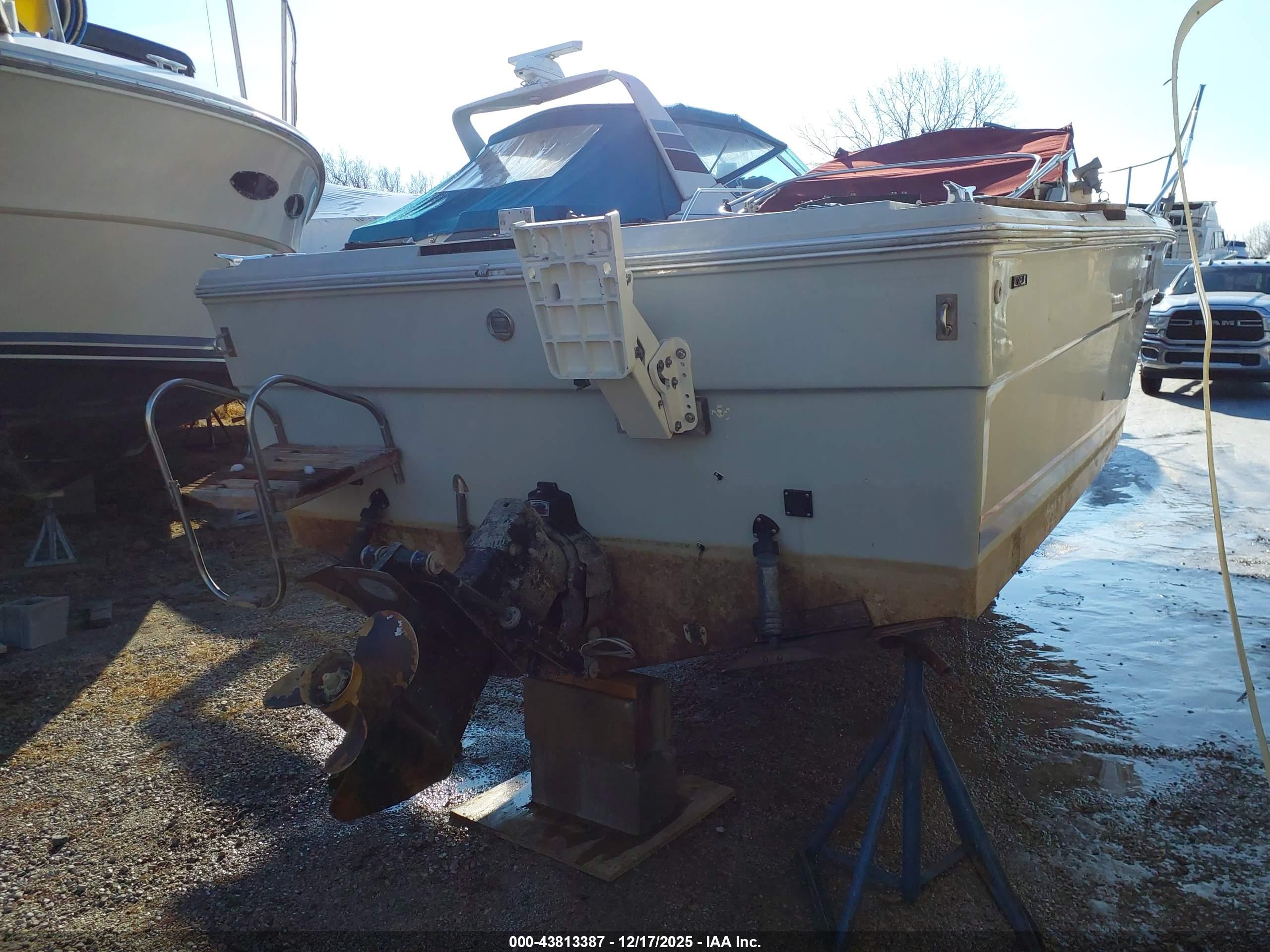 SEA RAY image 4