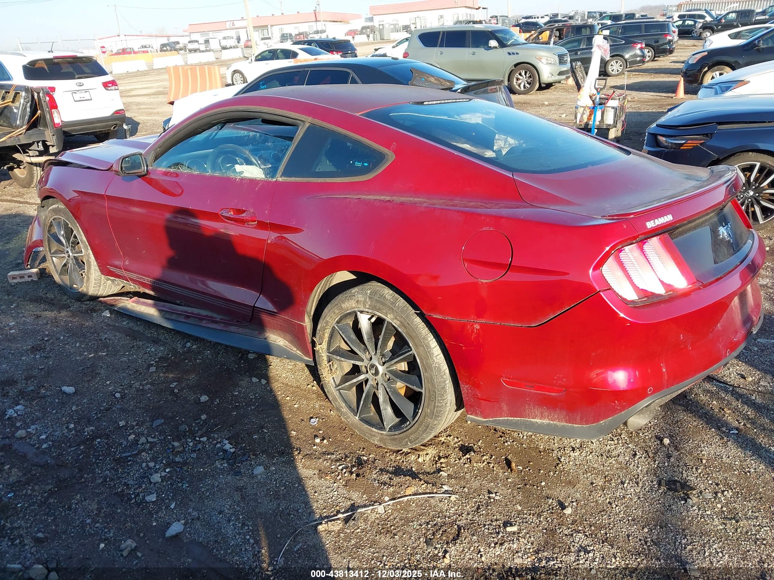 FORD MUSTANG image 3