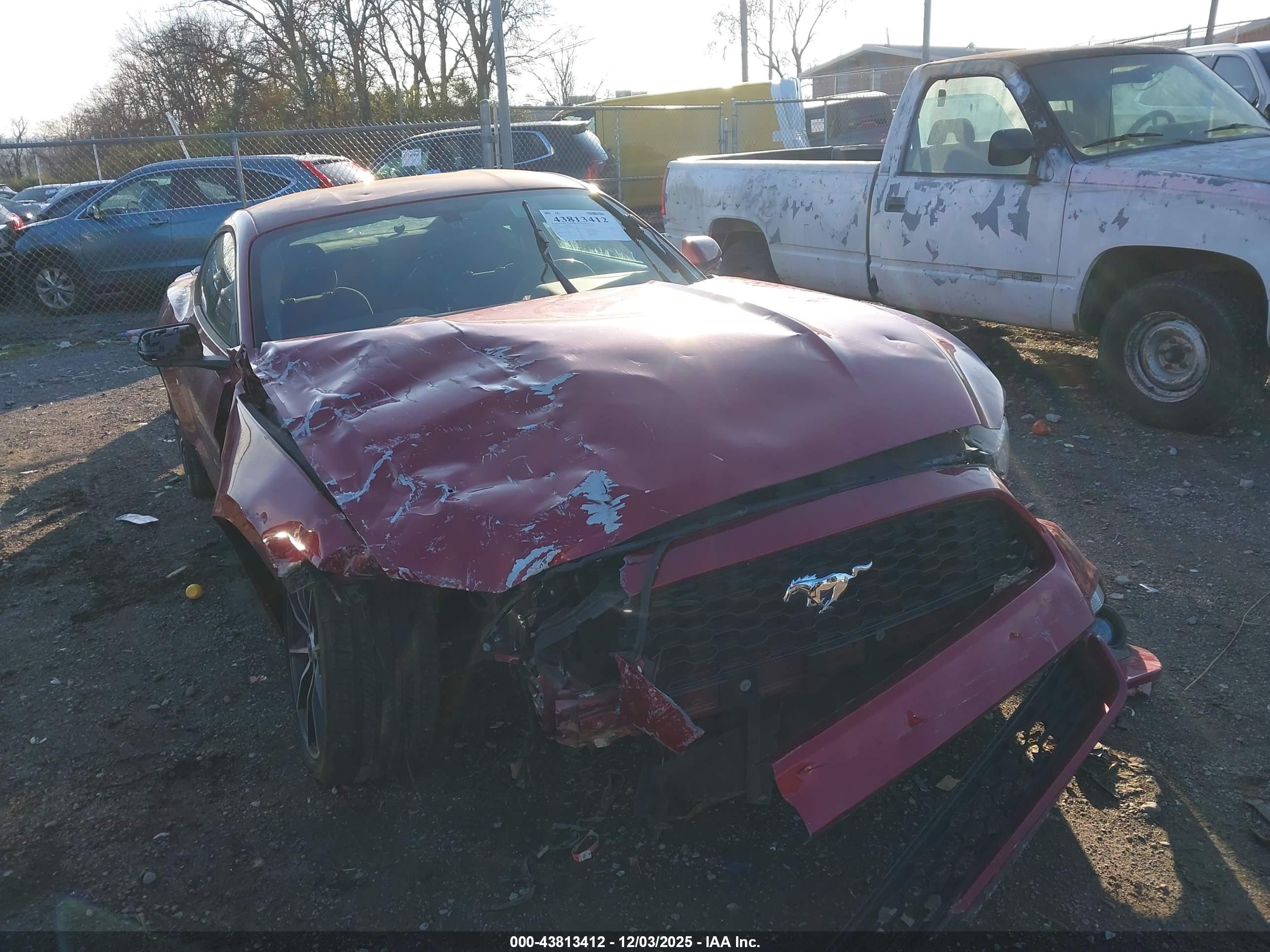 FORD MUSTANG image 6