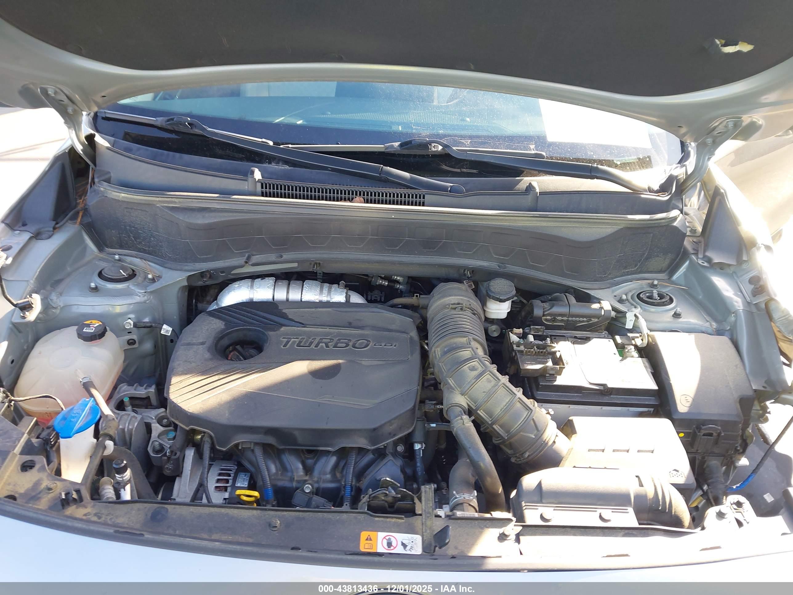 KIA SELTOS image 10