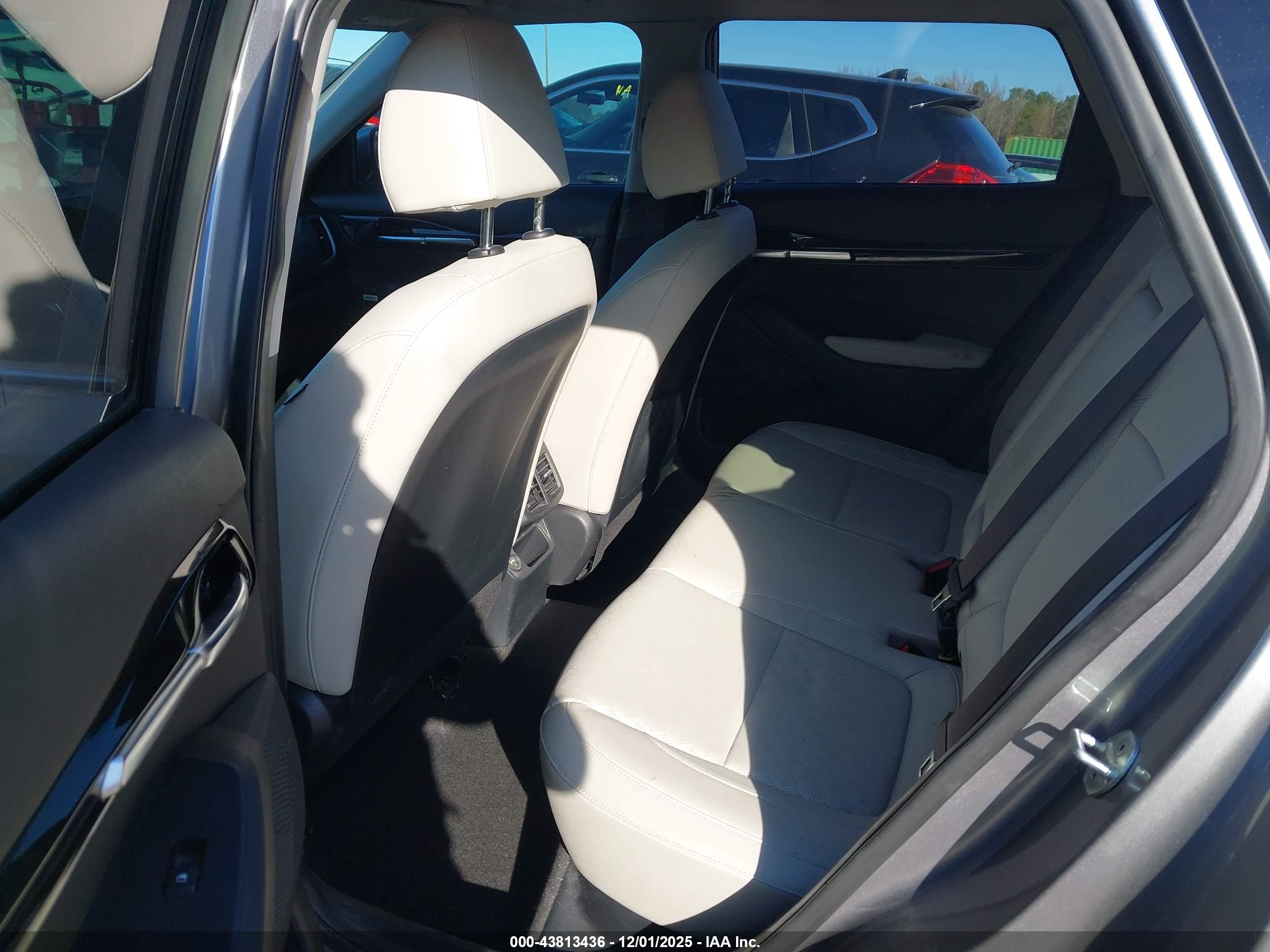 KIA SELTOS image 8