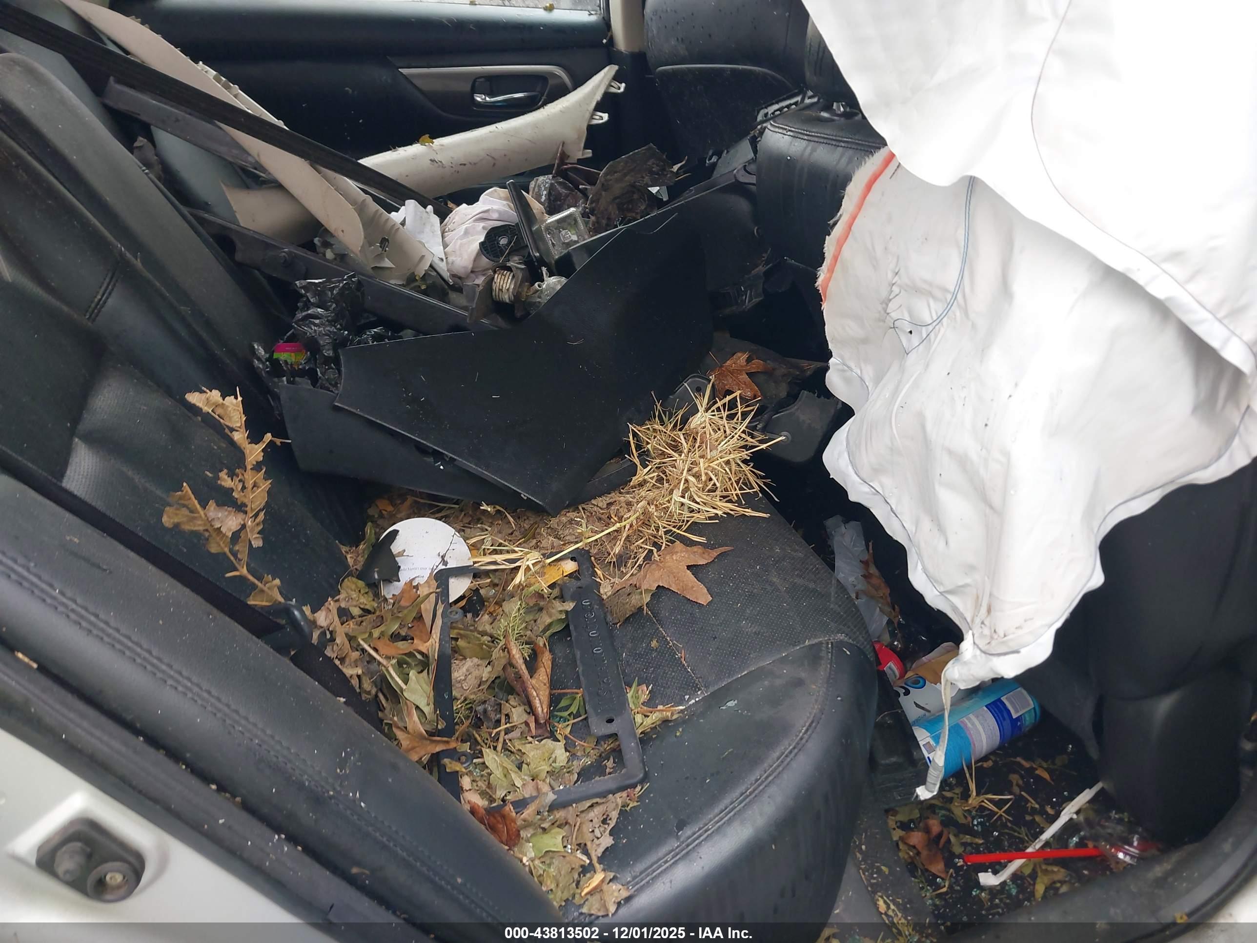 NISSAN ALTIMA image 8
