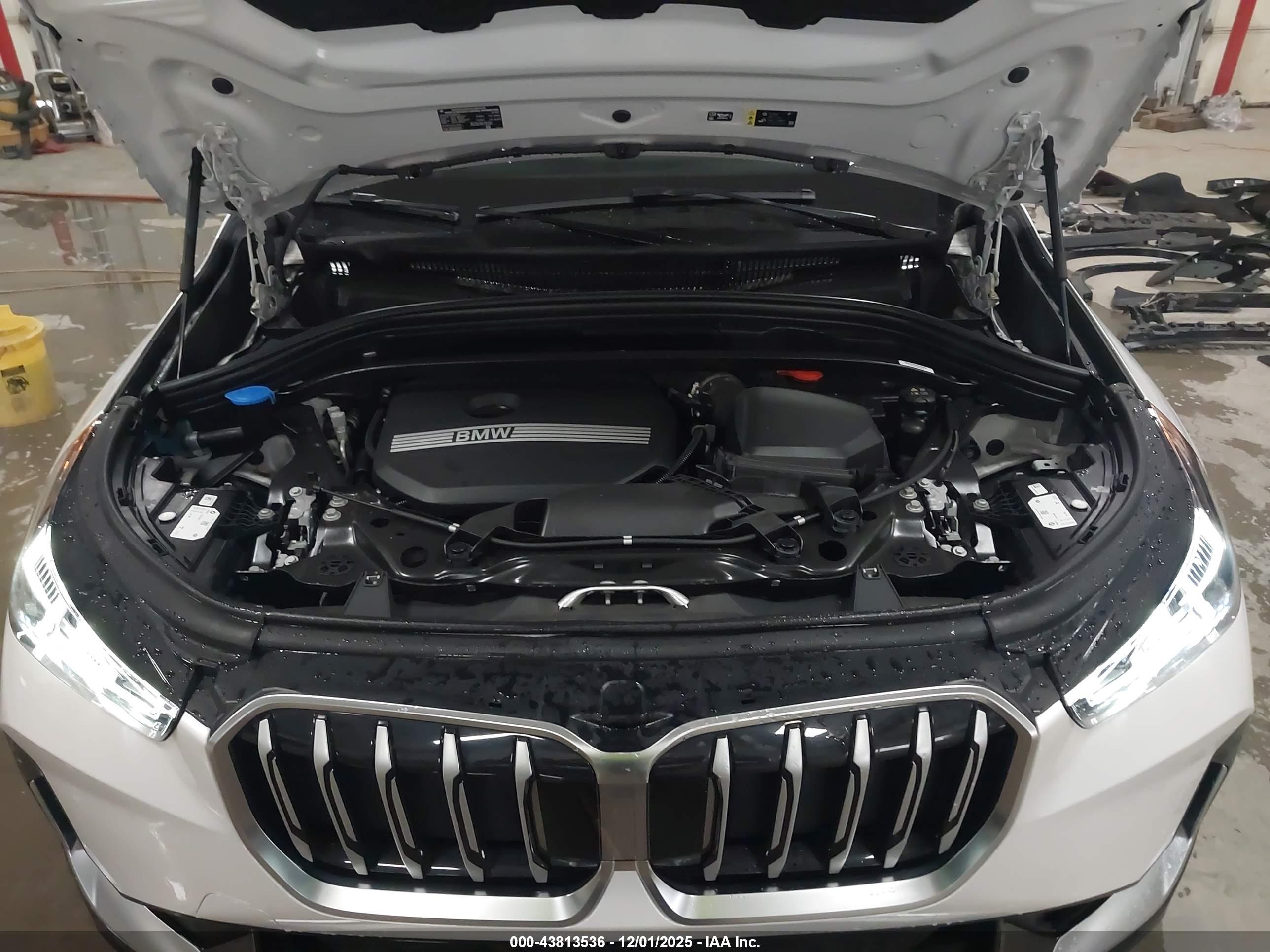 BMW X1 image 10