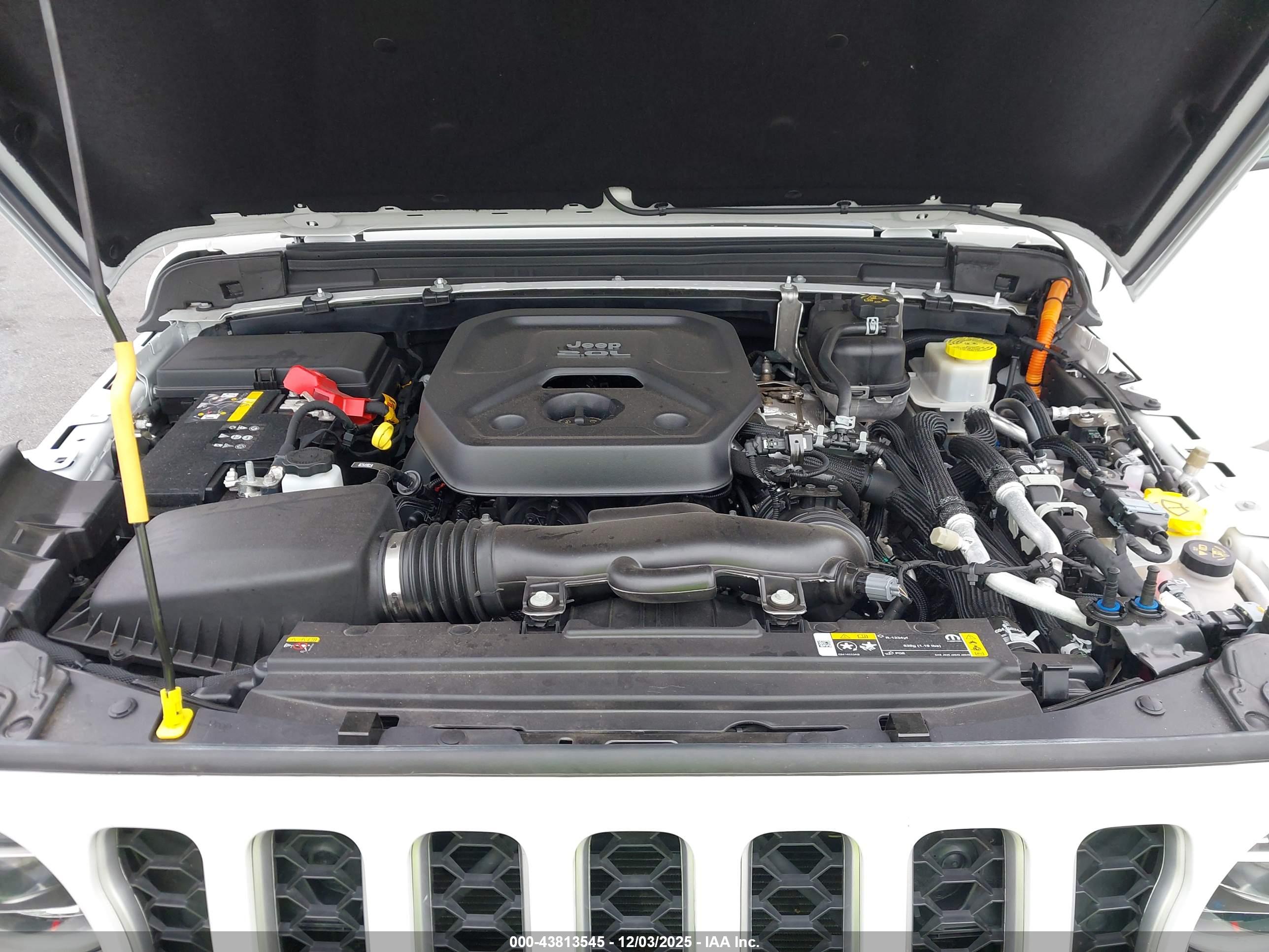 JEEP WRANGLER image 10