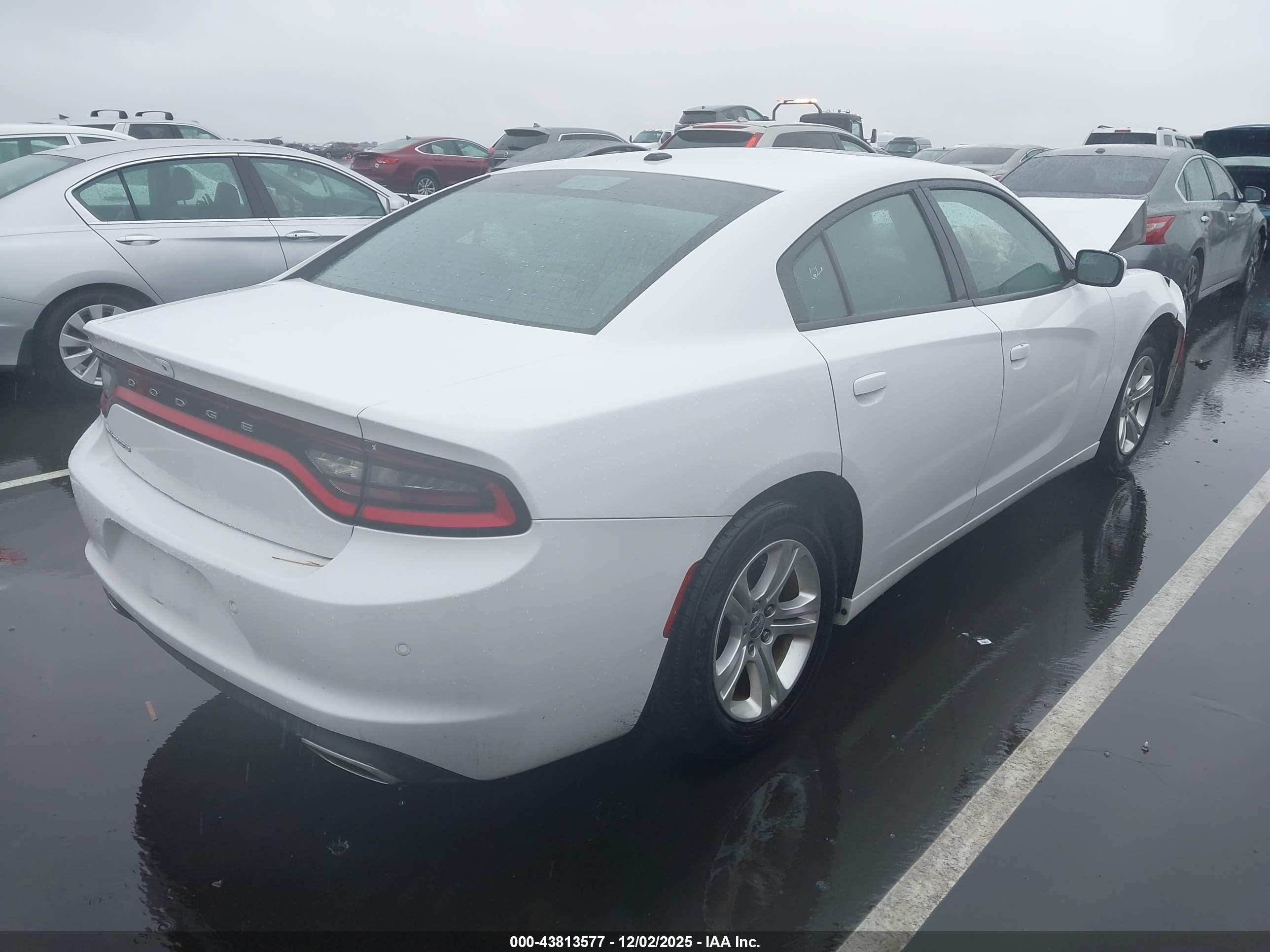 DODGE CHARGER image 4