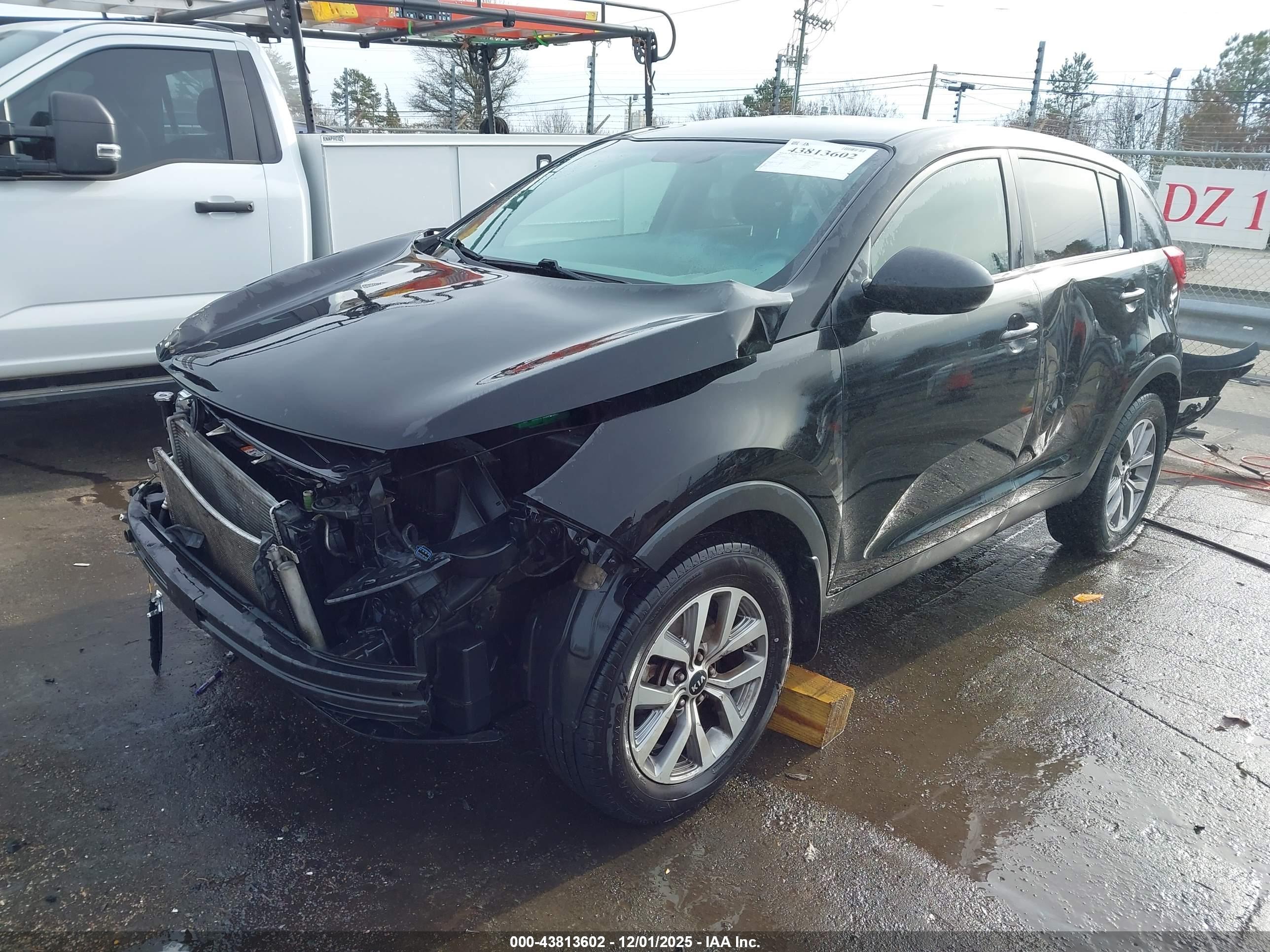 KIA SPORTAGE image 2