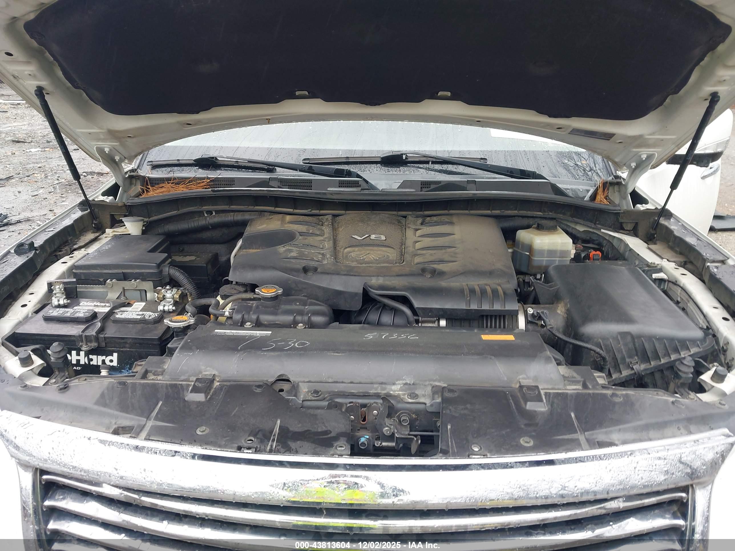 INFINITI QX80 image 10