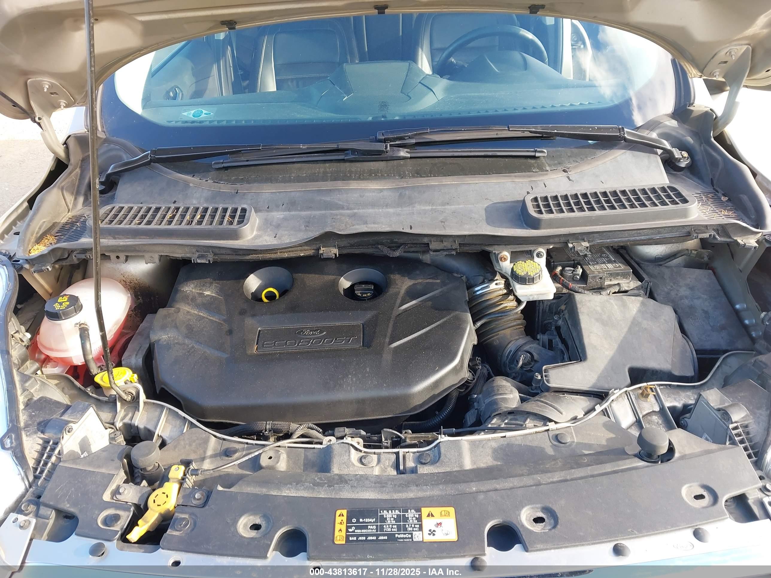 FORD ESCAPE image 10