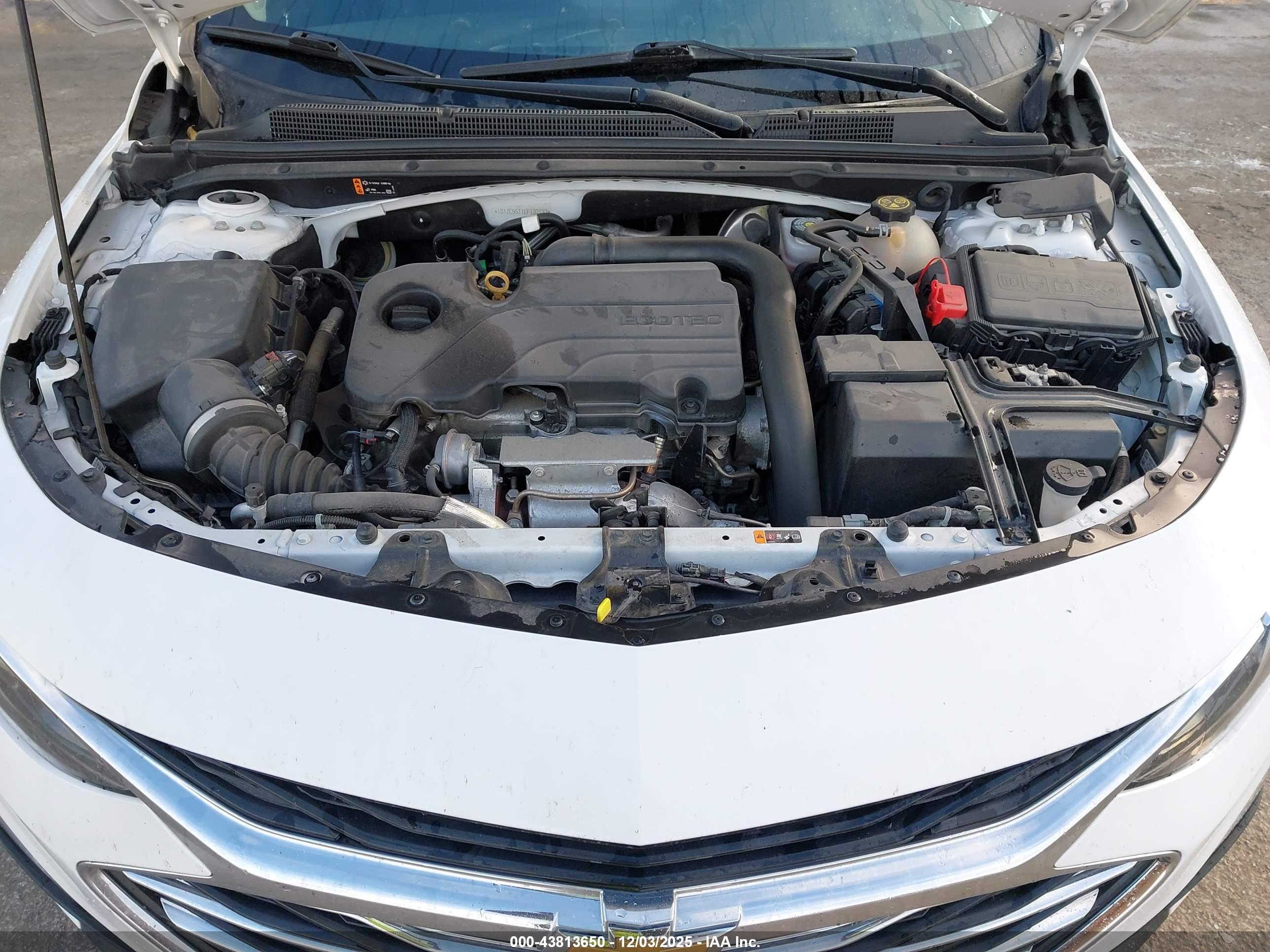 CHEVROLET MALIBU image 10