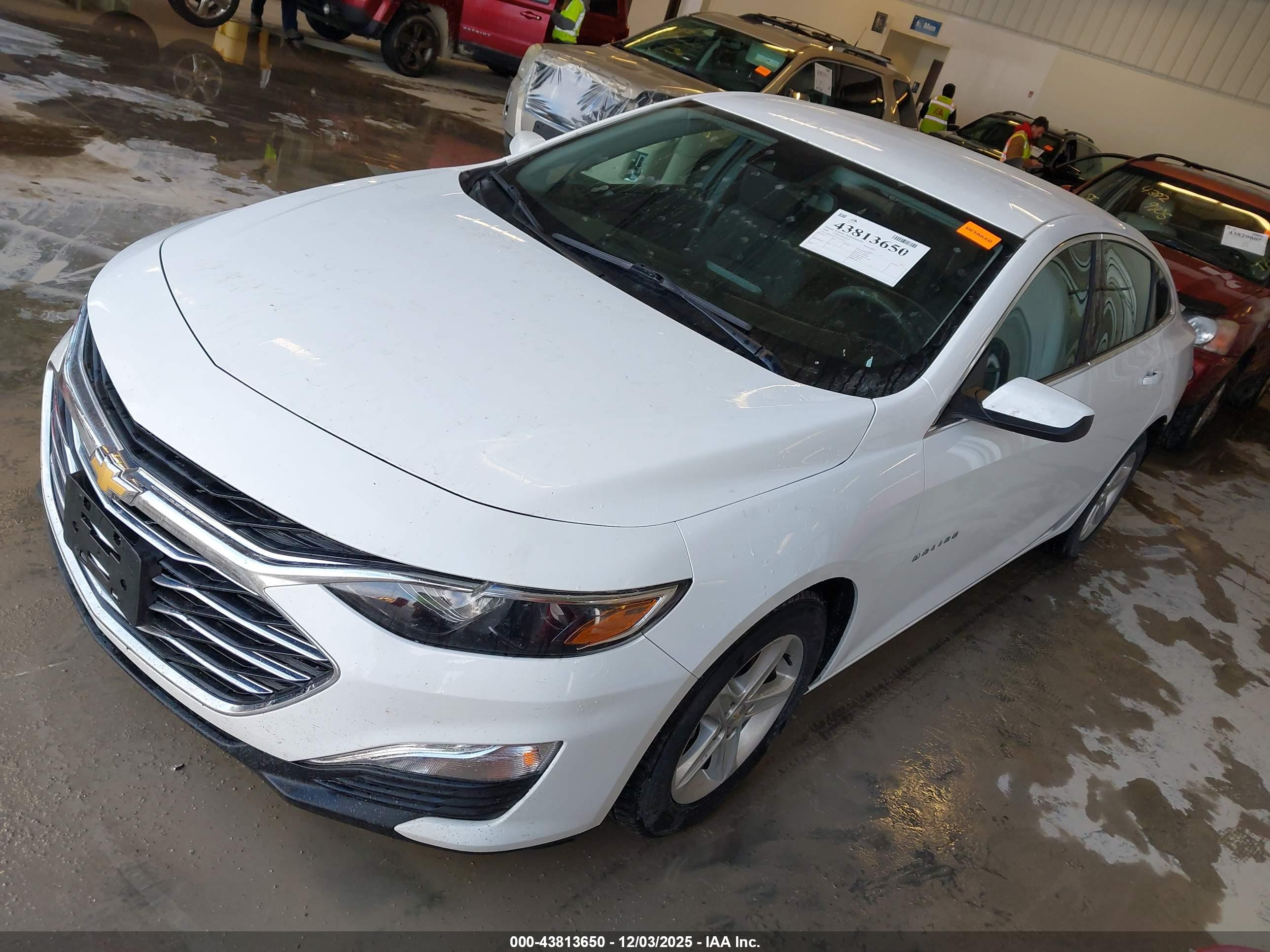 CHEVROLET MALIBU image 2
