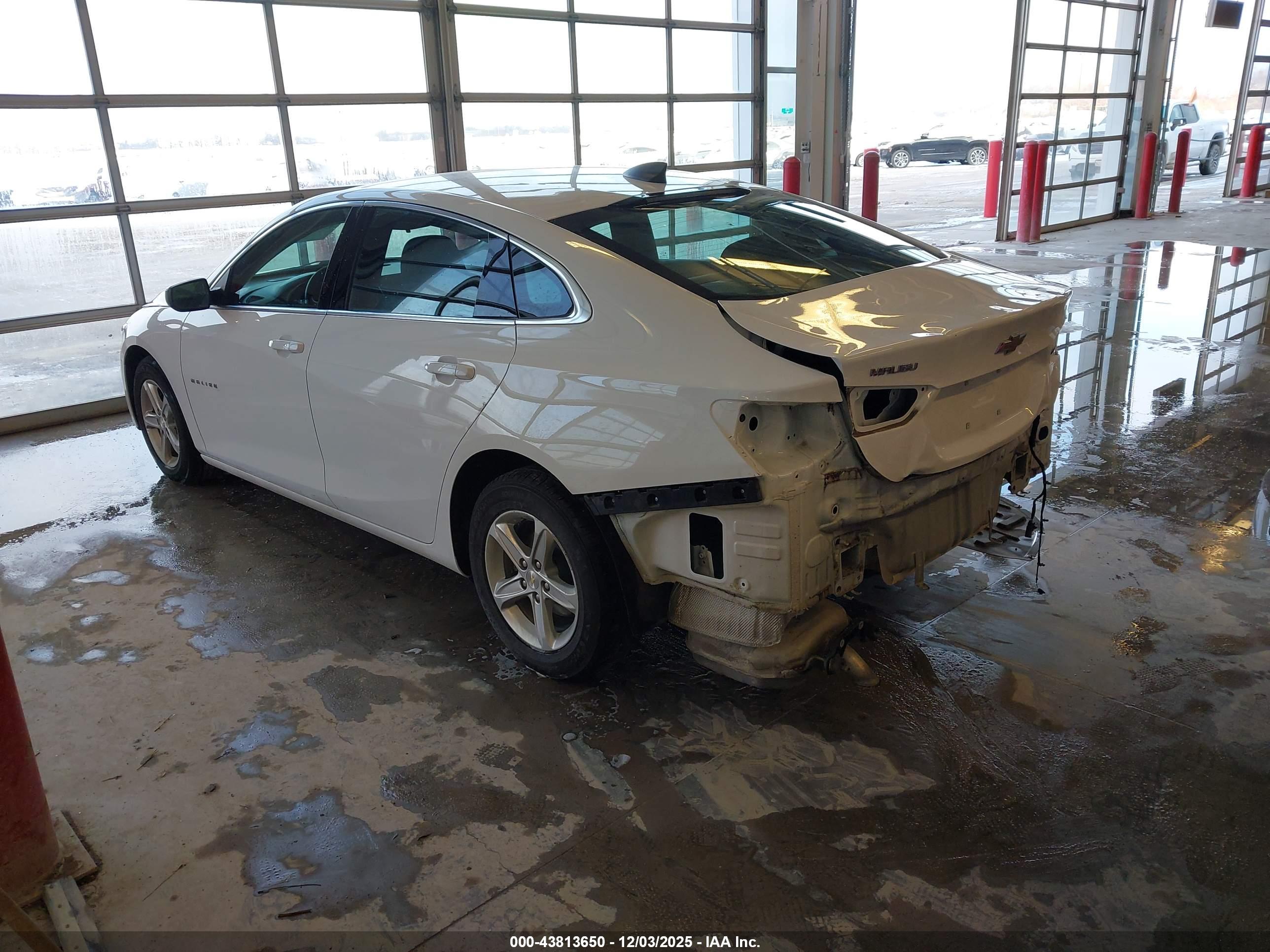 CHEVROLET MALIBU image 3