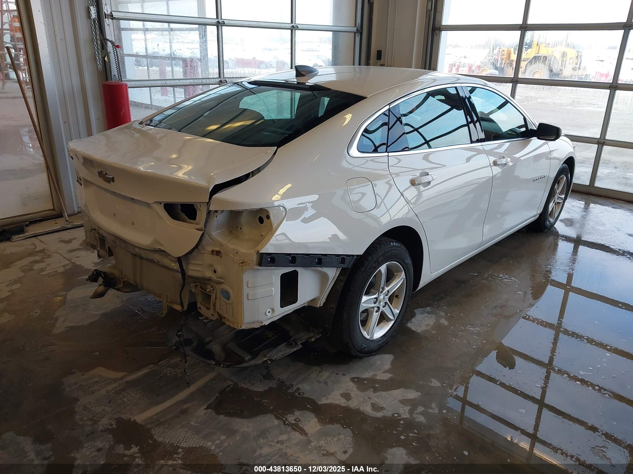 CHEVROLET MALIBU image 4