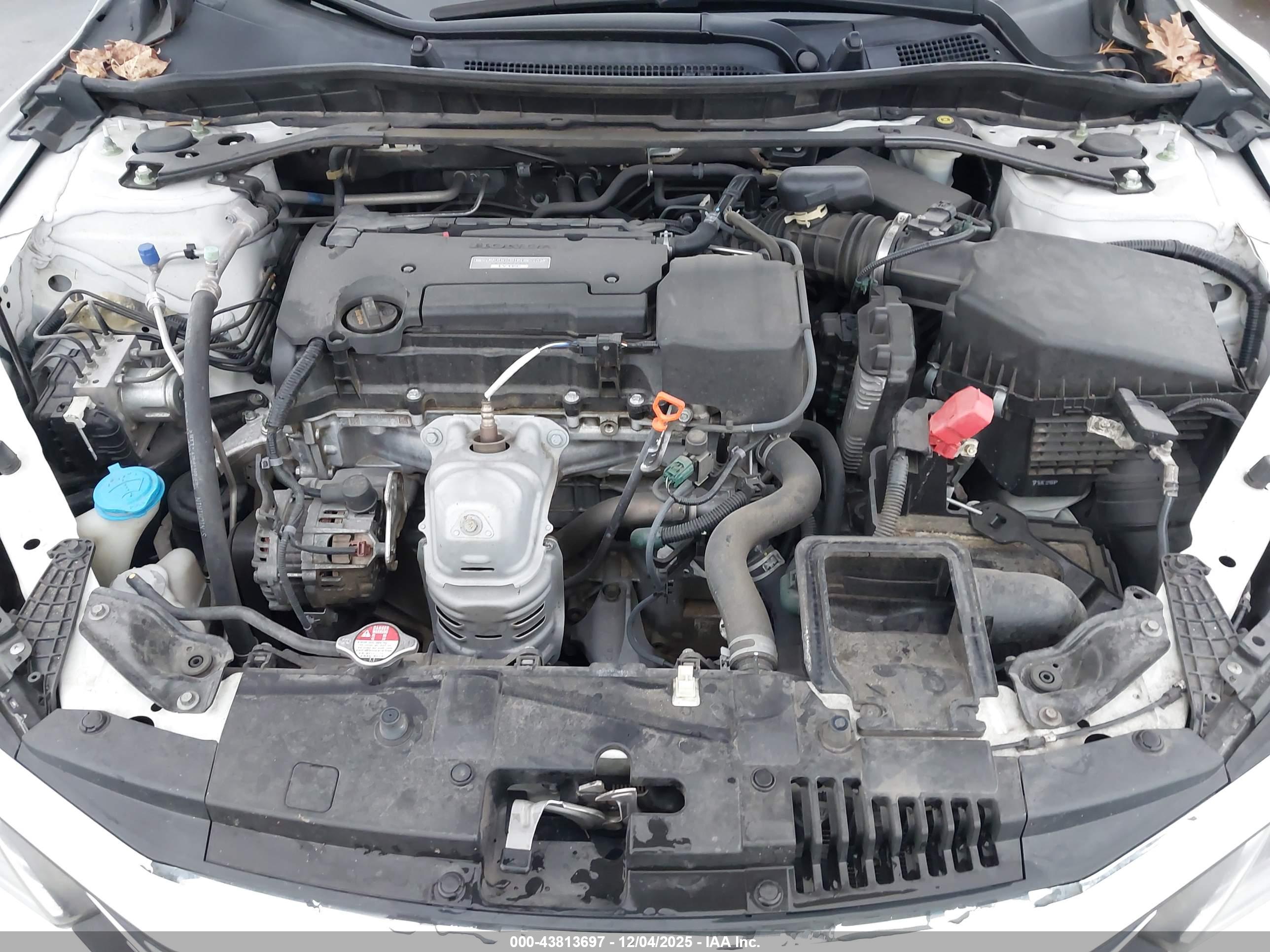 HONDA ACCORD image 10