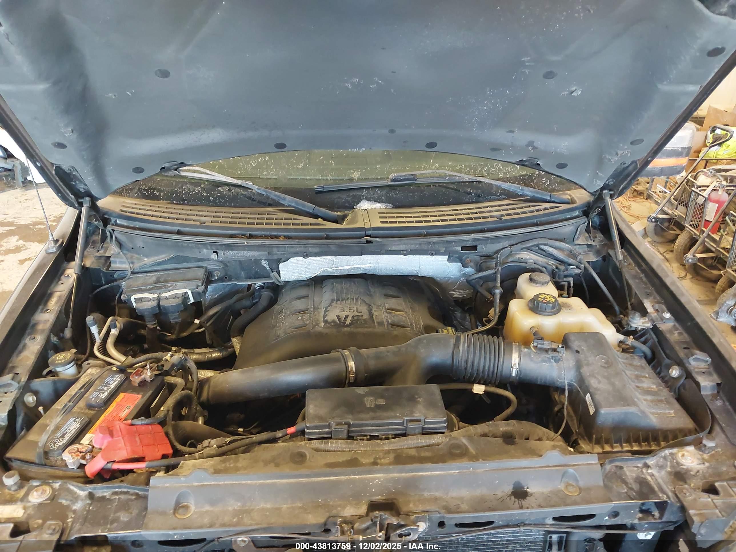 FORD F-150 image 10