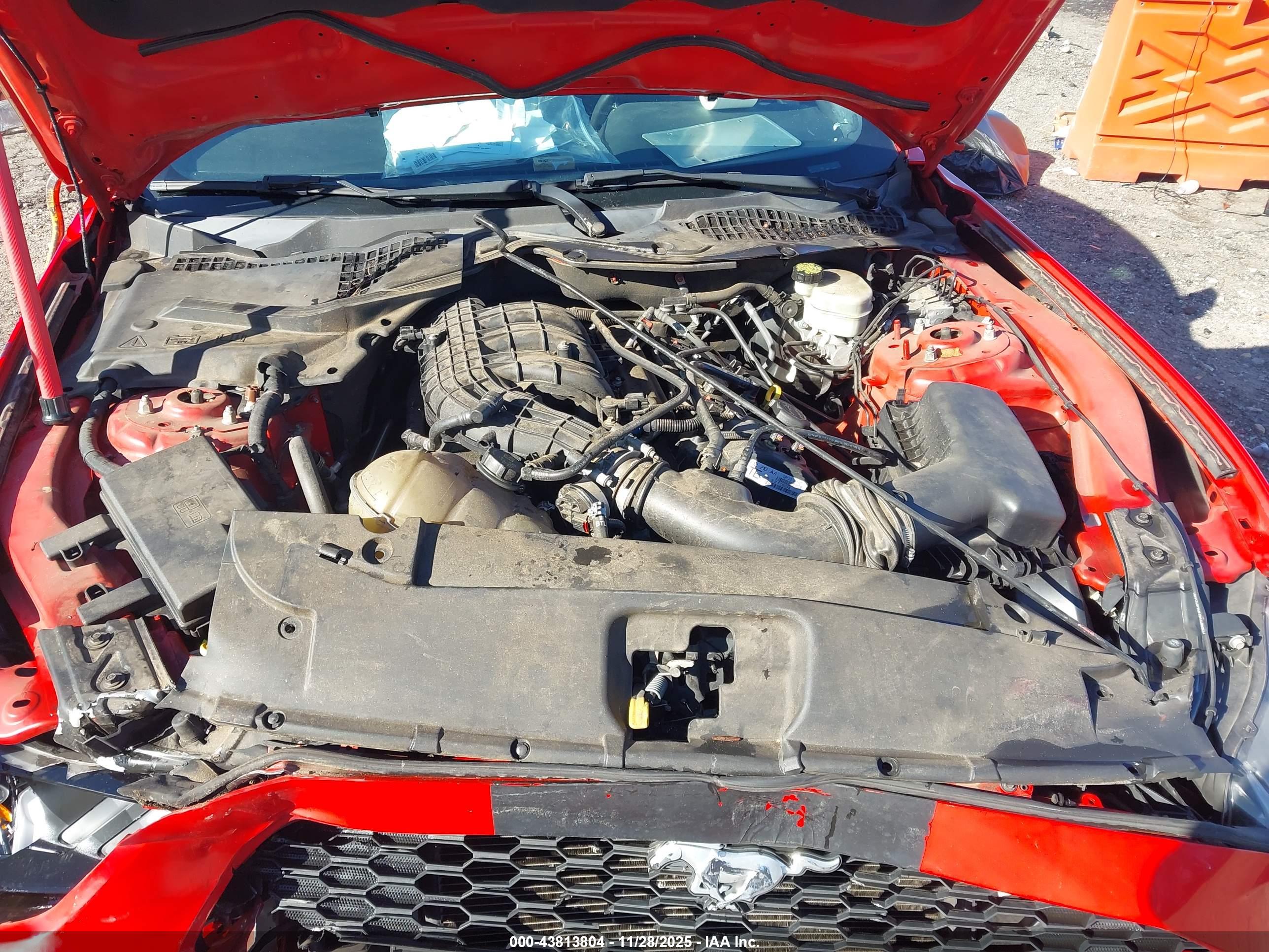 FORD MUSTANG image 10
