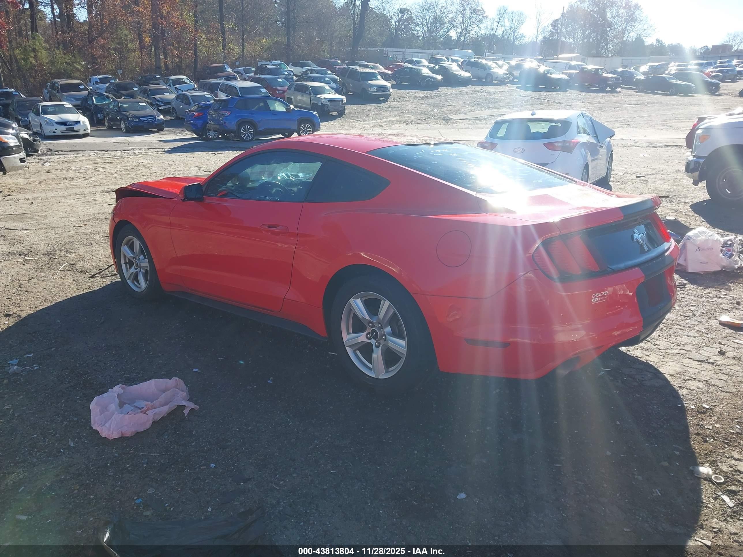 FORD MUSTANG image 3