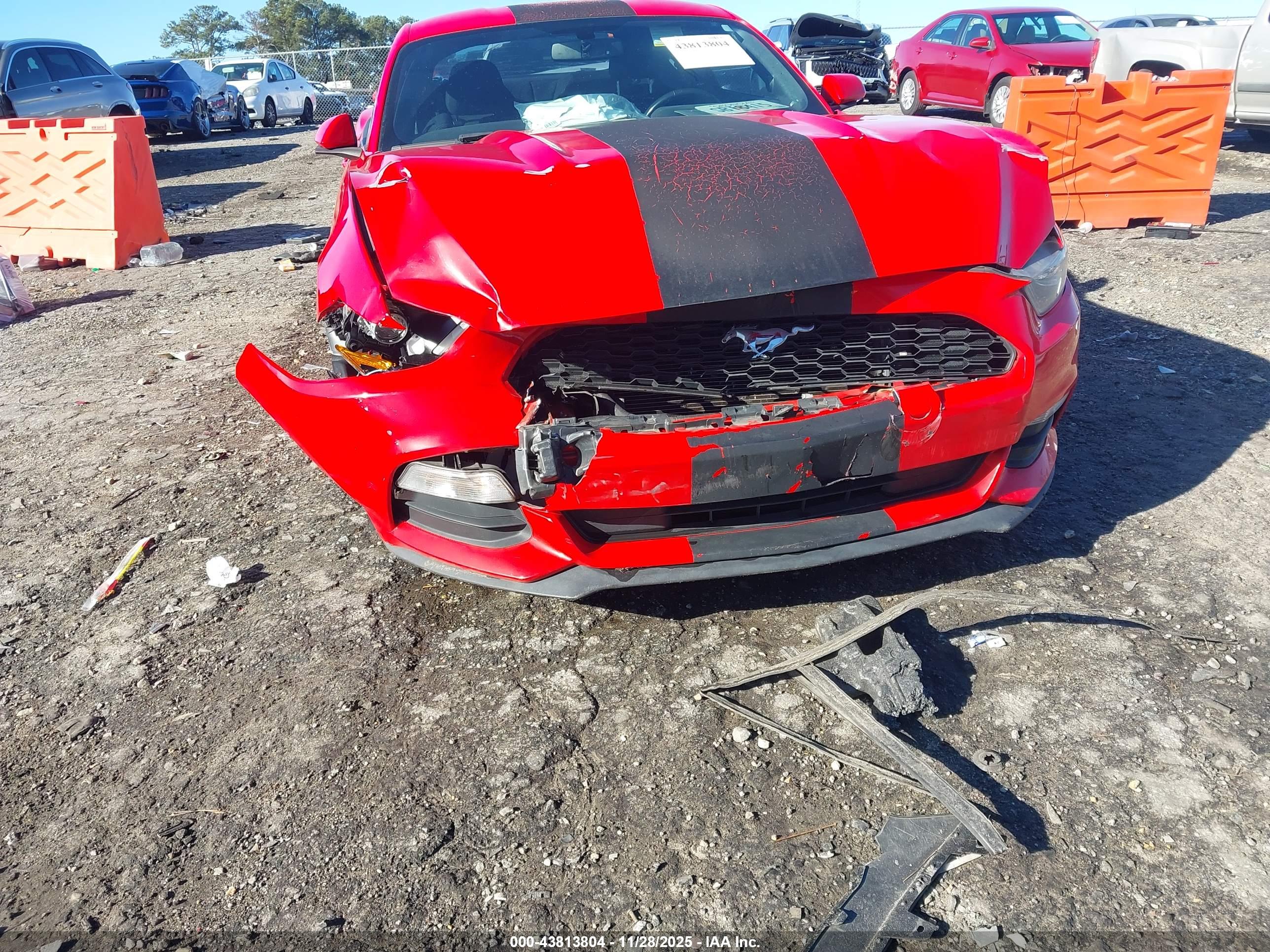 FORD MUSTANG image 6