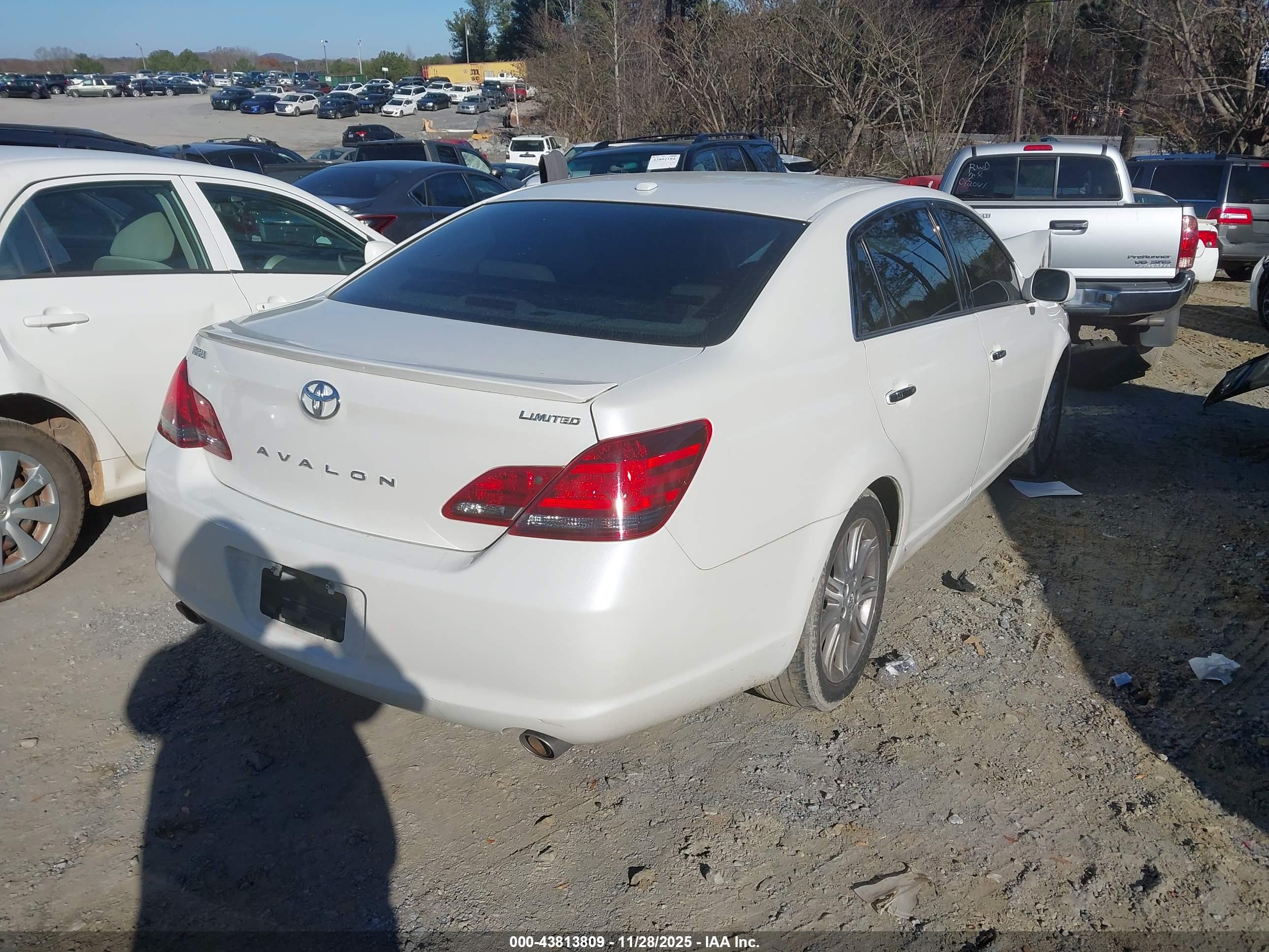 TOYOTA AVALON image 4