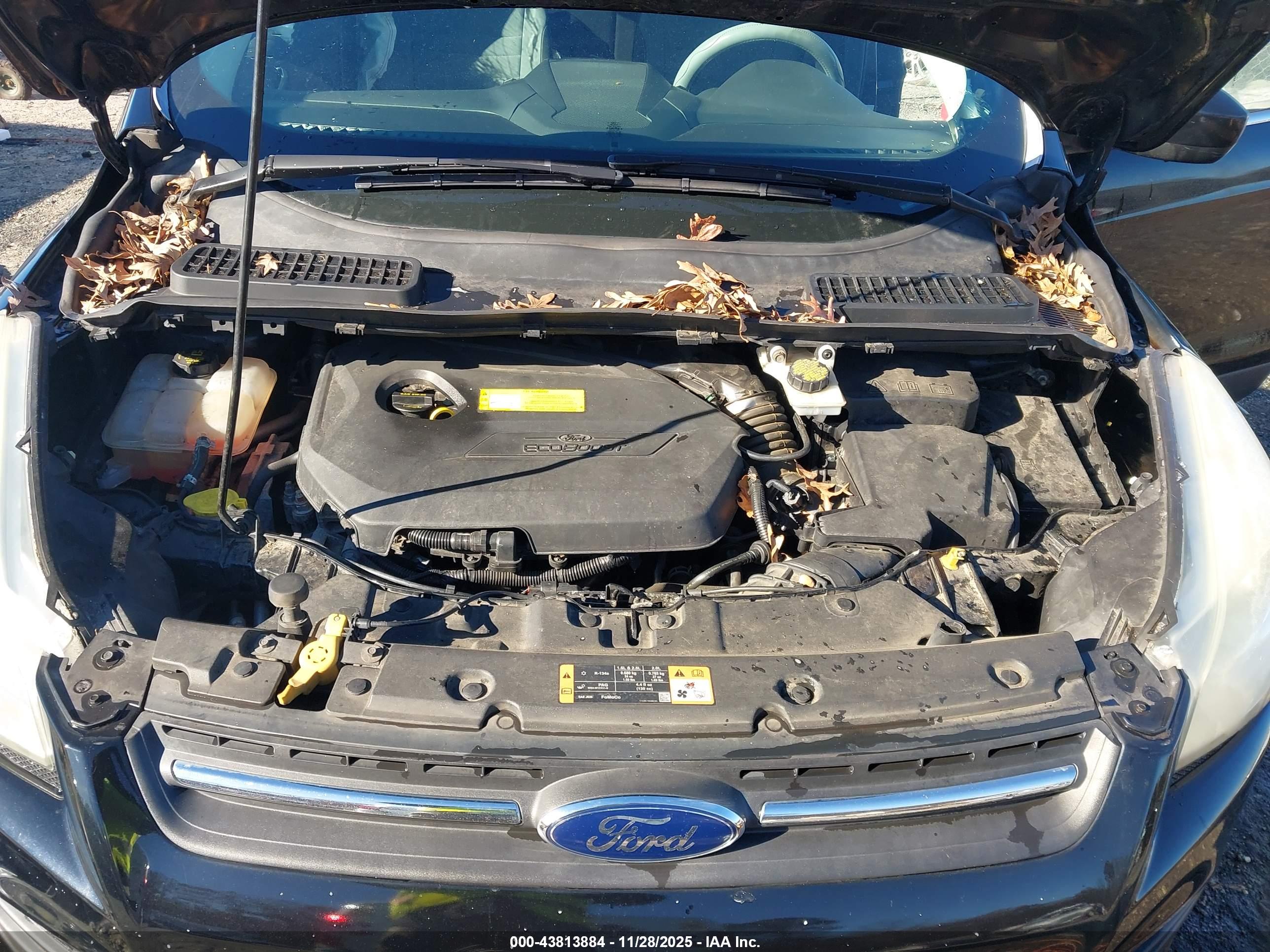 FORD ESCAPE image 10