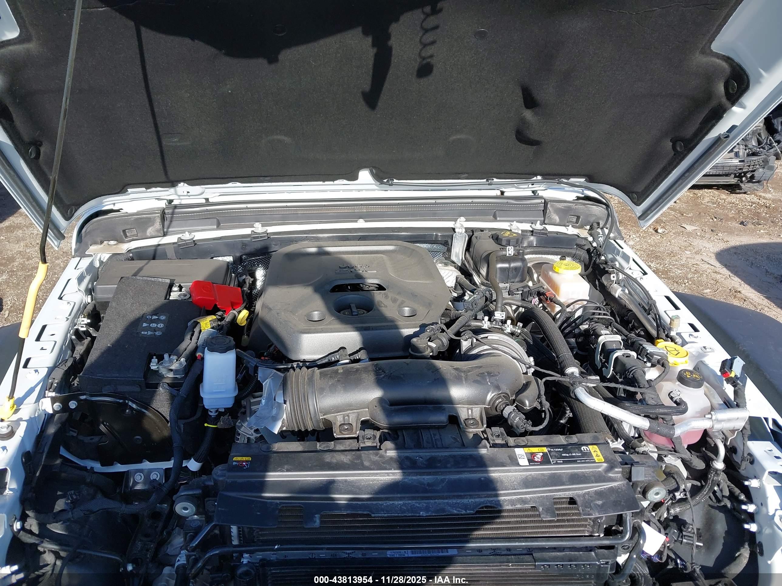 JEEP WRANGLER image 10