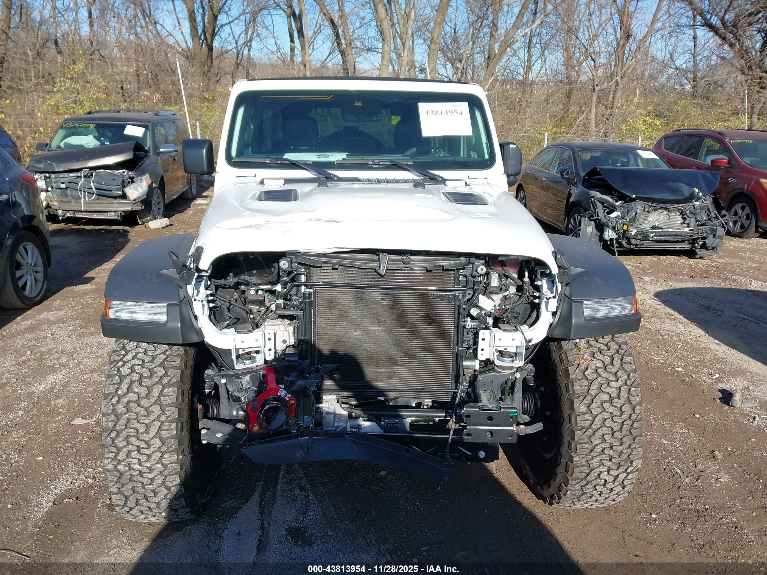 JEEP WRANGLER image 6