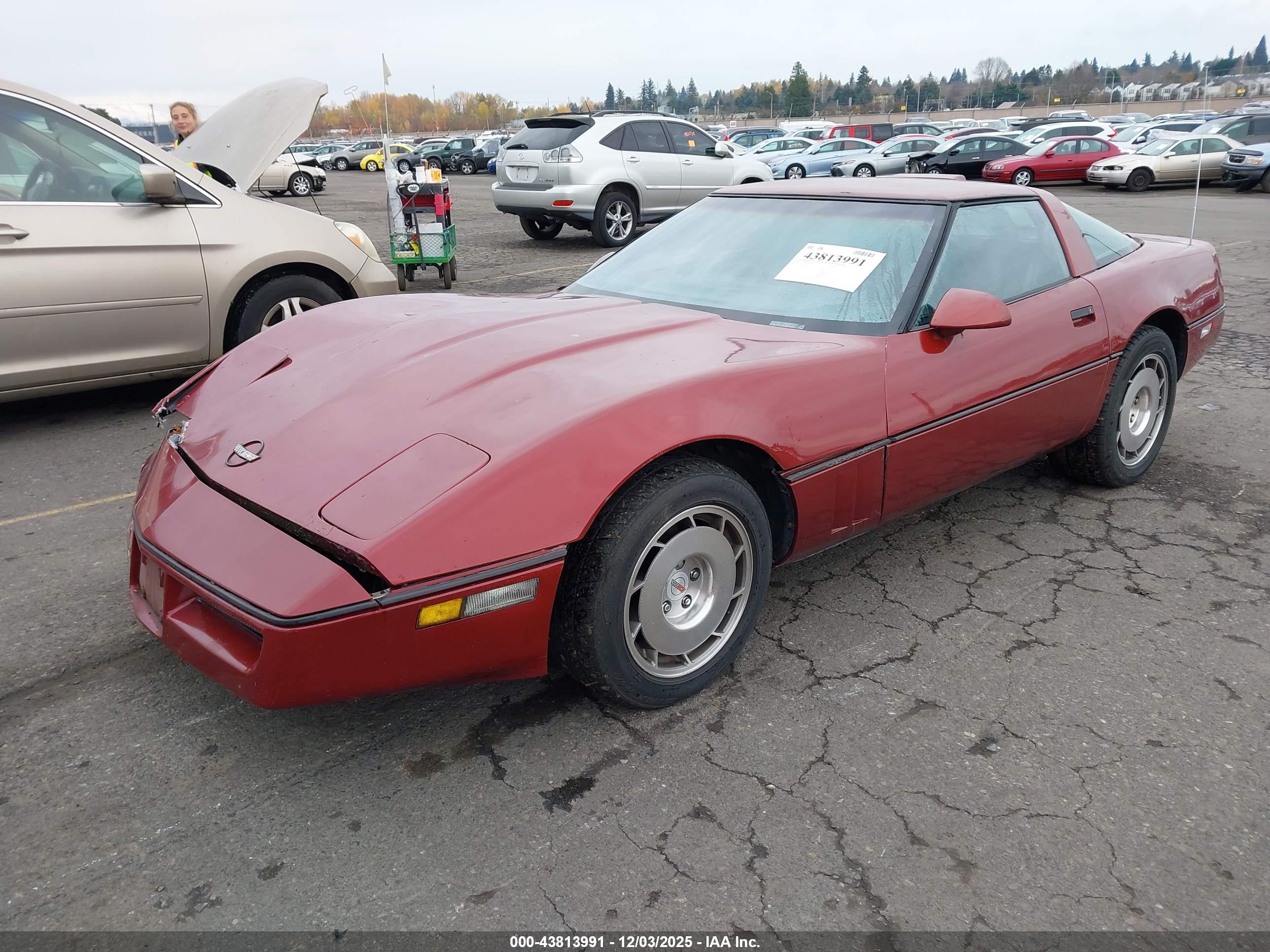 CHEVROLET CORVETTE image 2