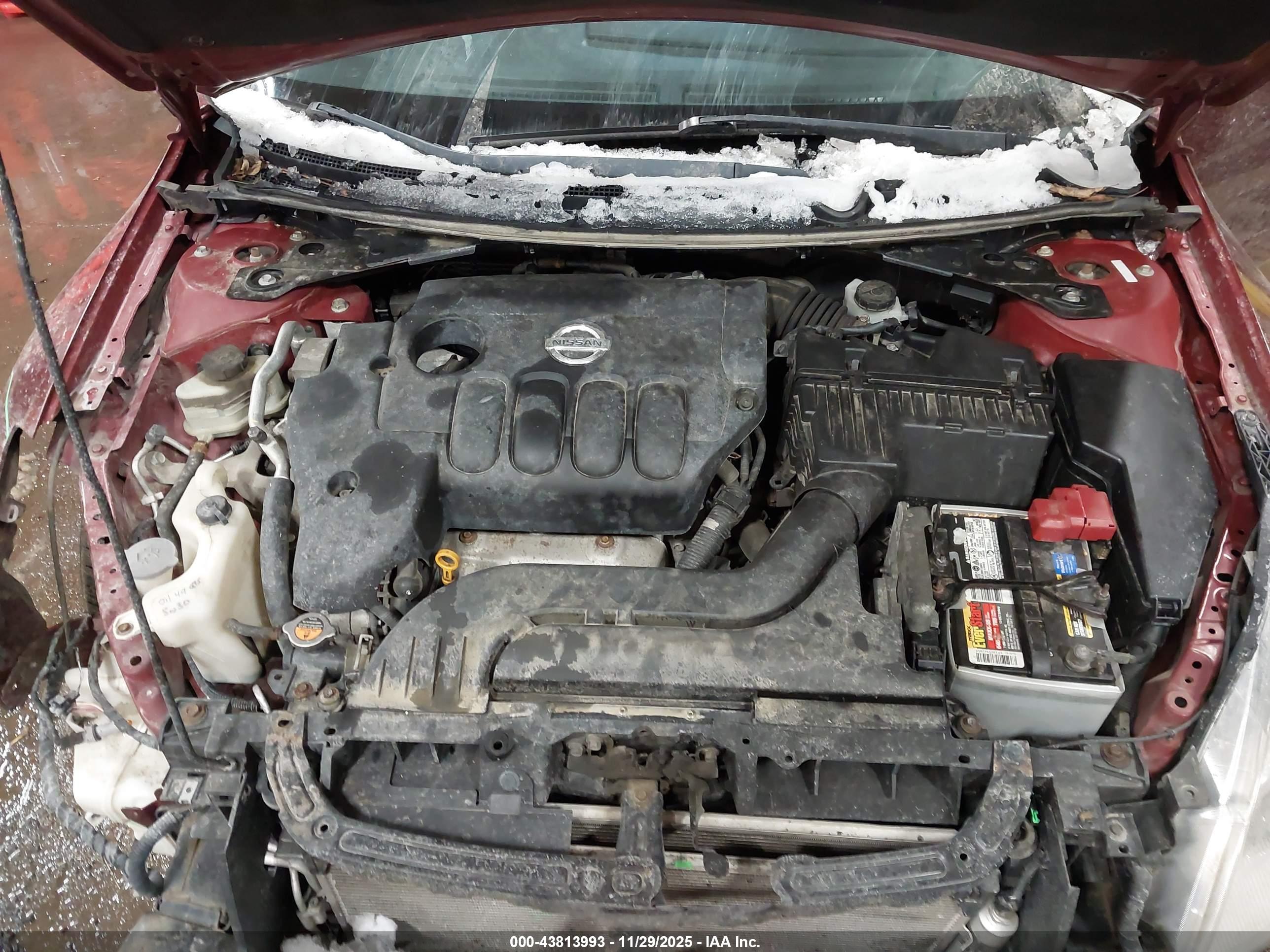 NISSAN ALTIMA image 10