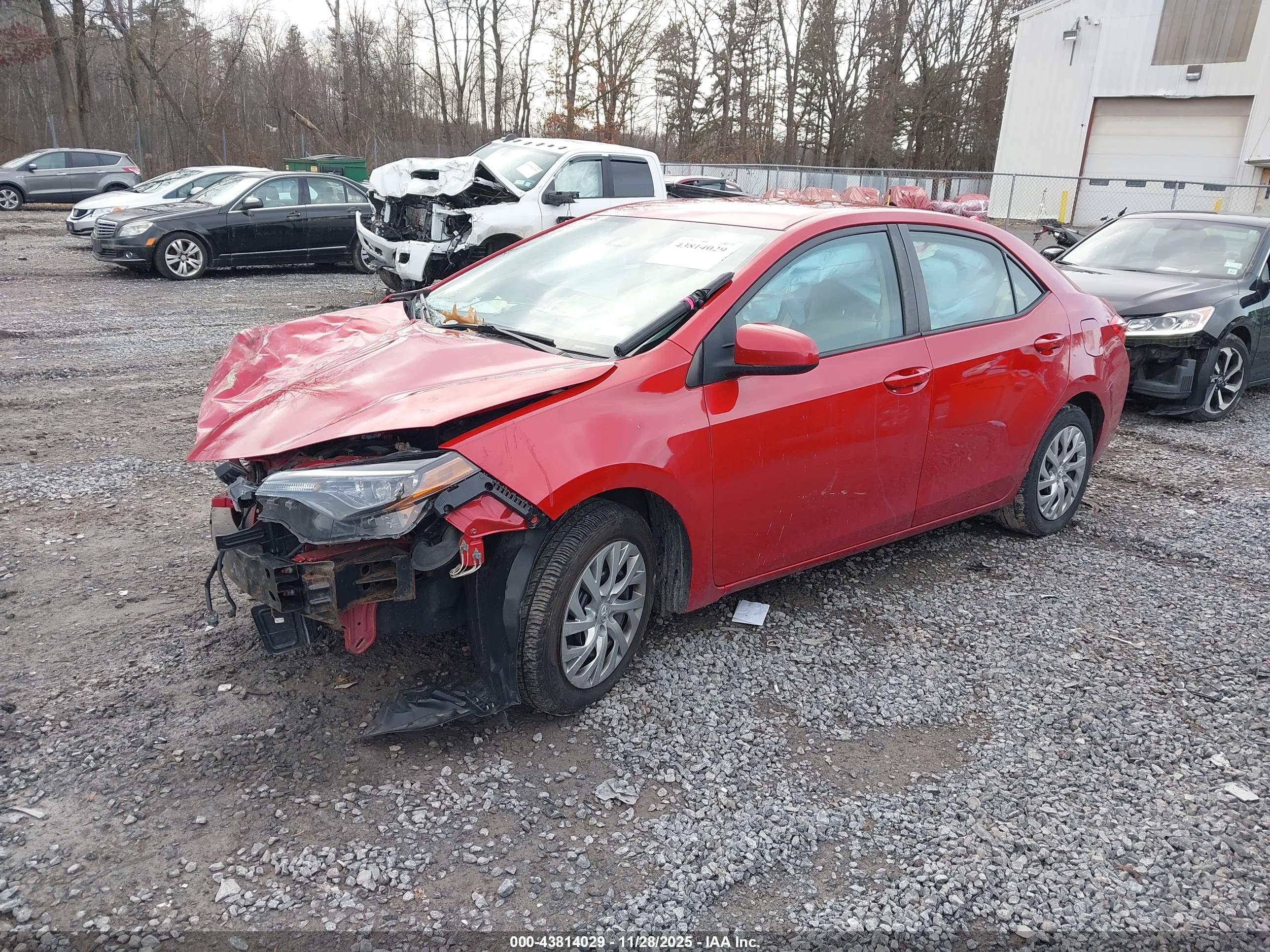 TOYOTA COROLLA image 2