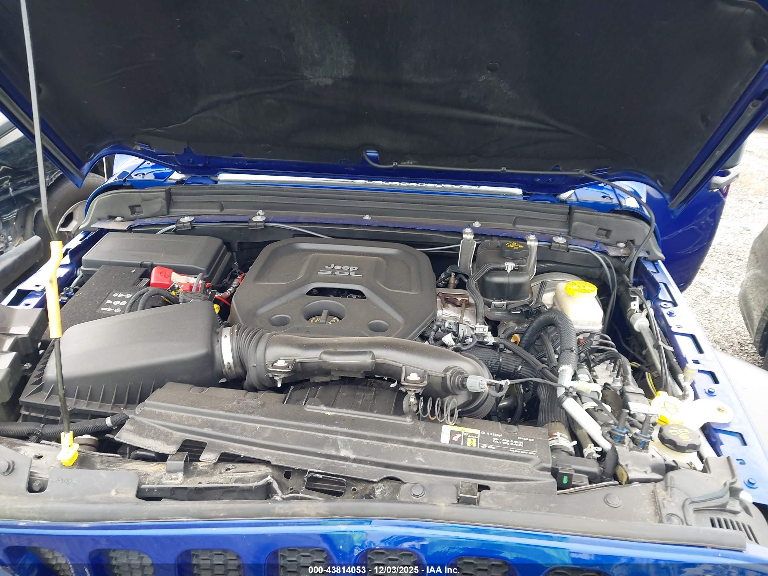 JEEP WRANGLER image 10