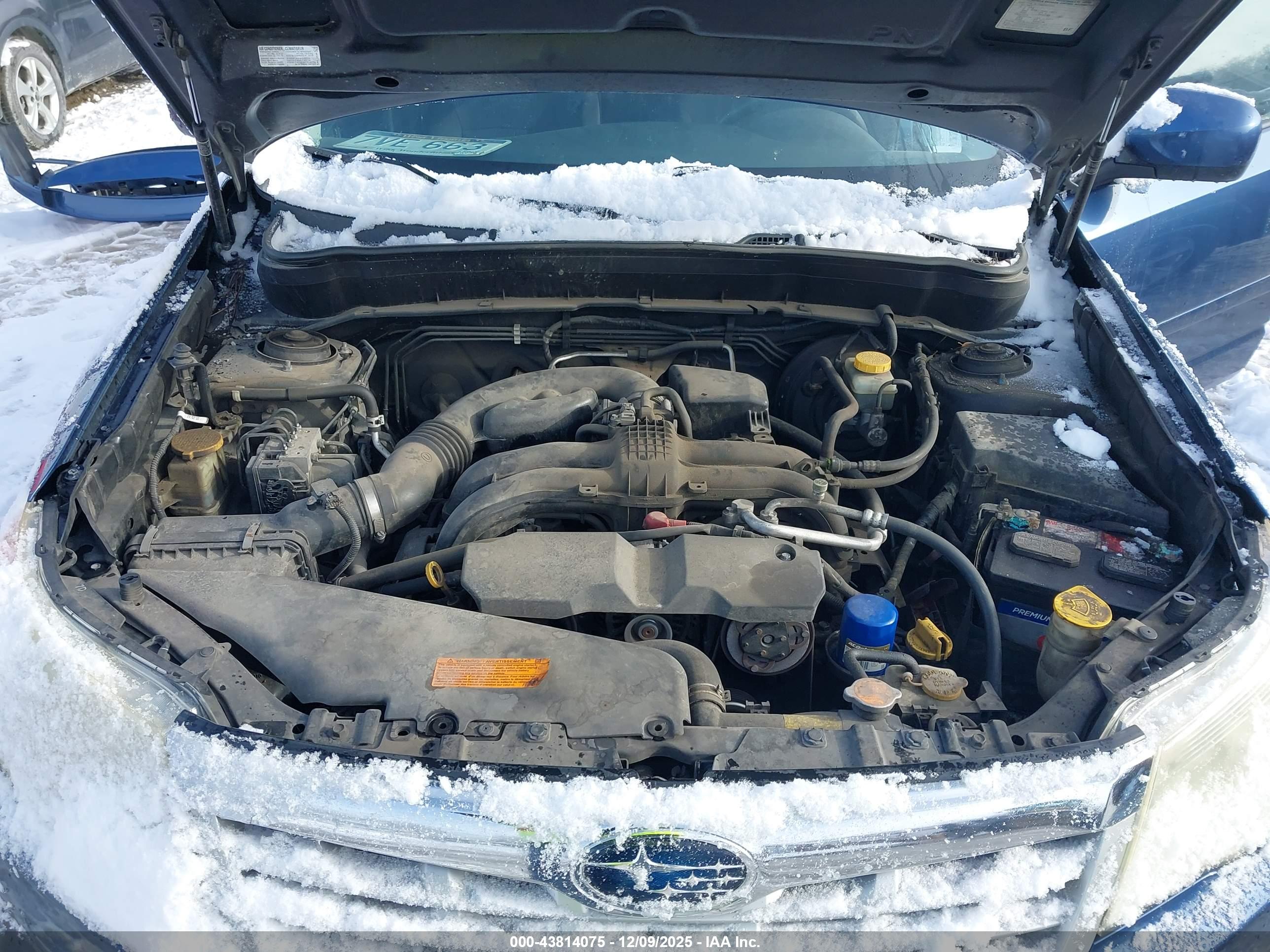 SUBARU FORESTER image 10