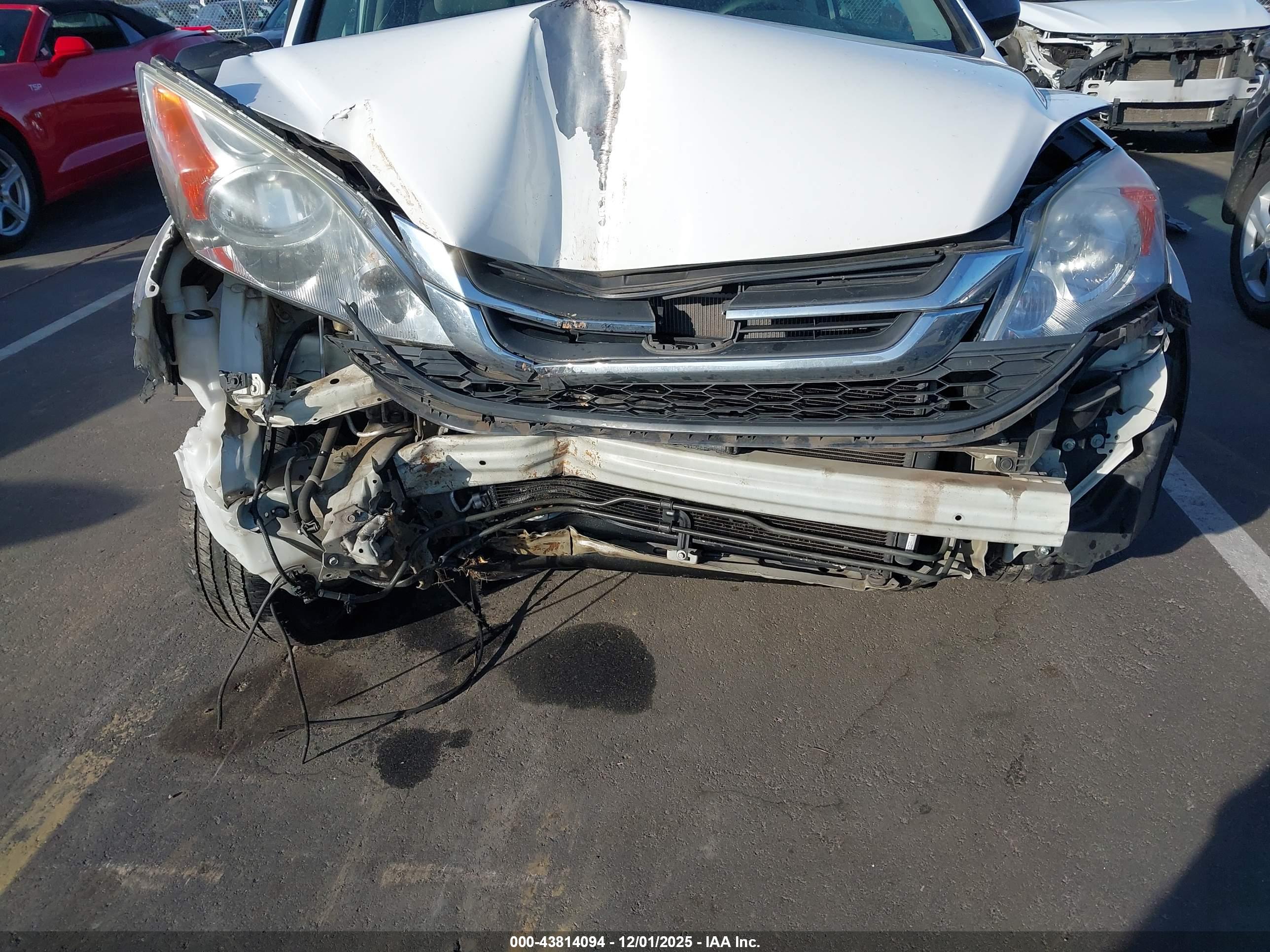 HONDA CR-V image 6