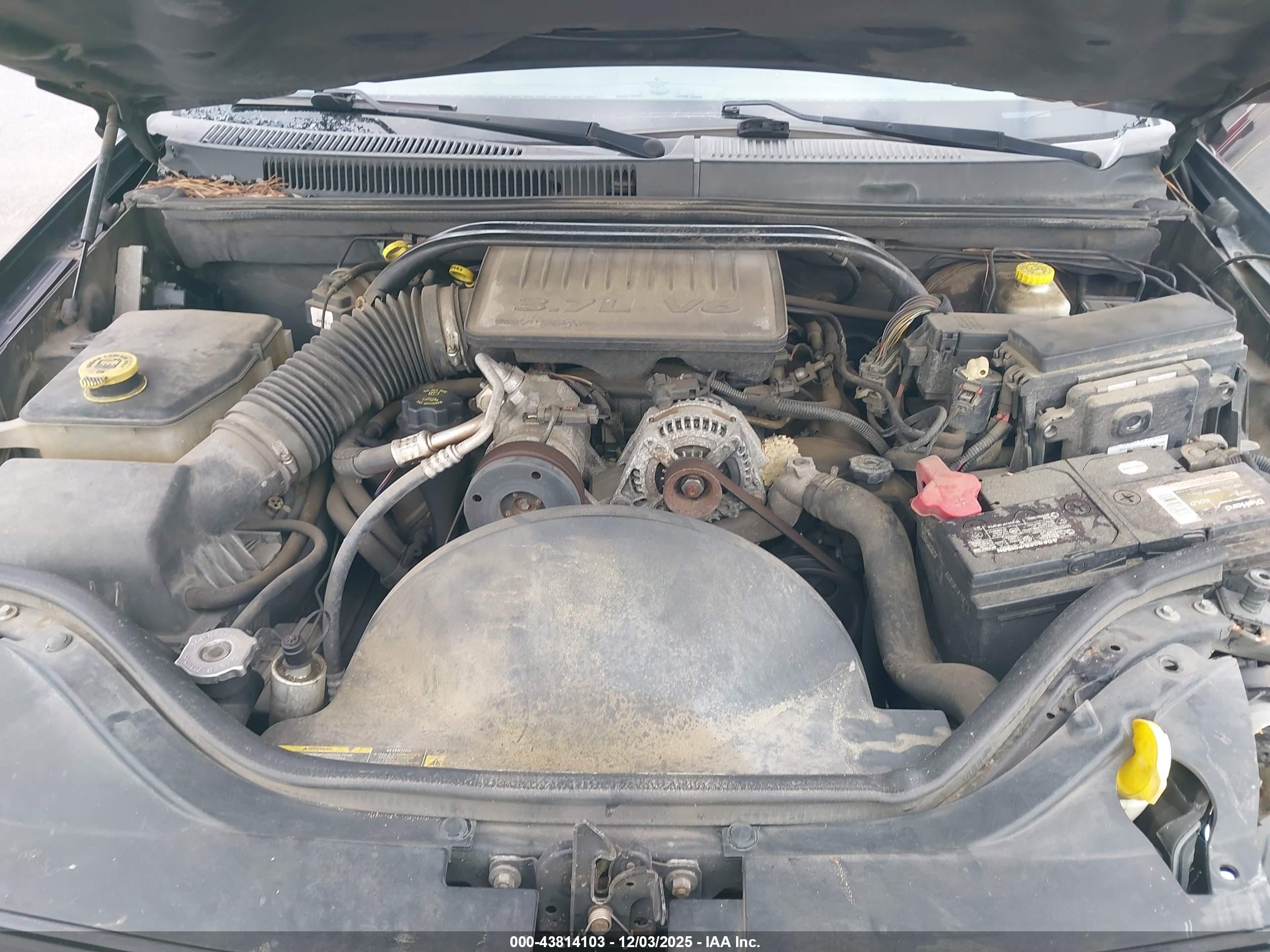 JEEP GRAND image 10