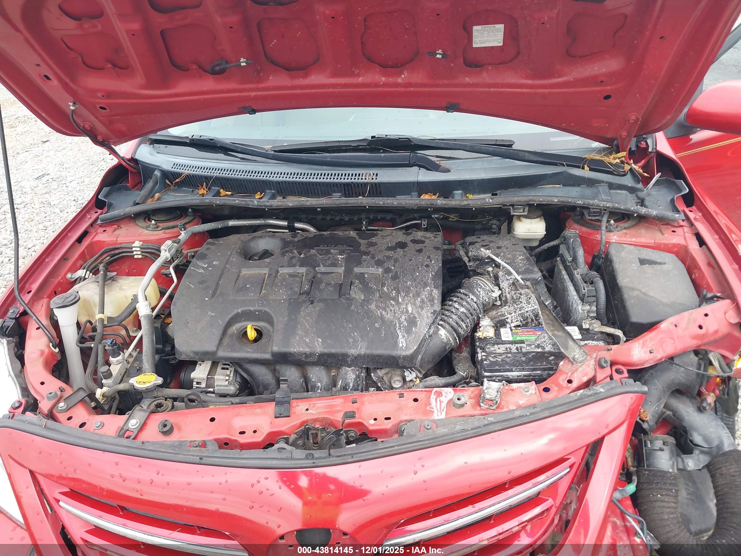 TOYOTA COROLLA image 10